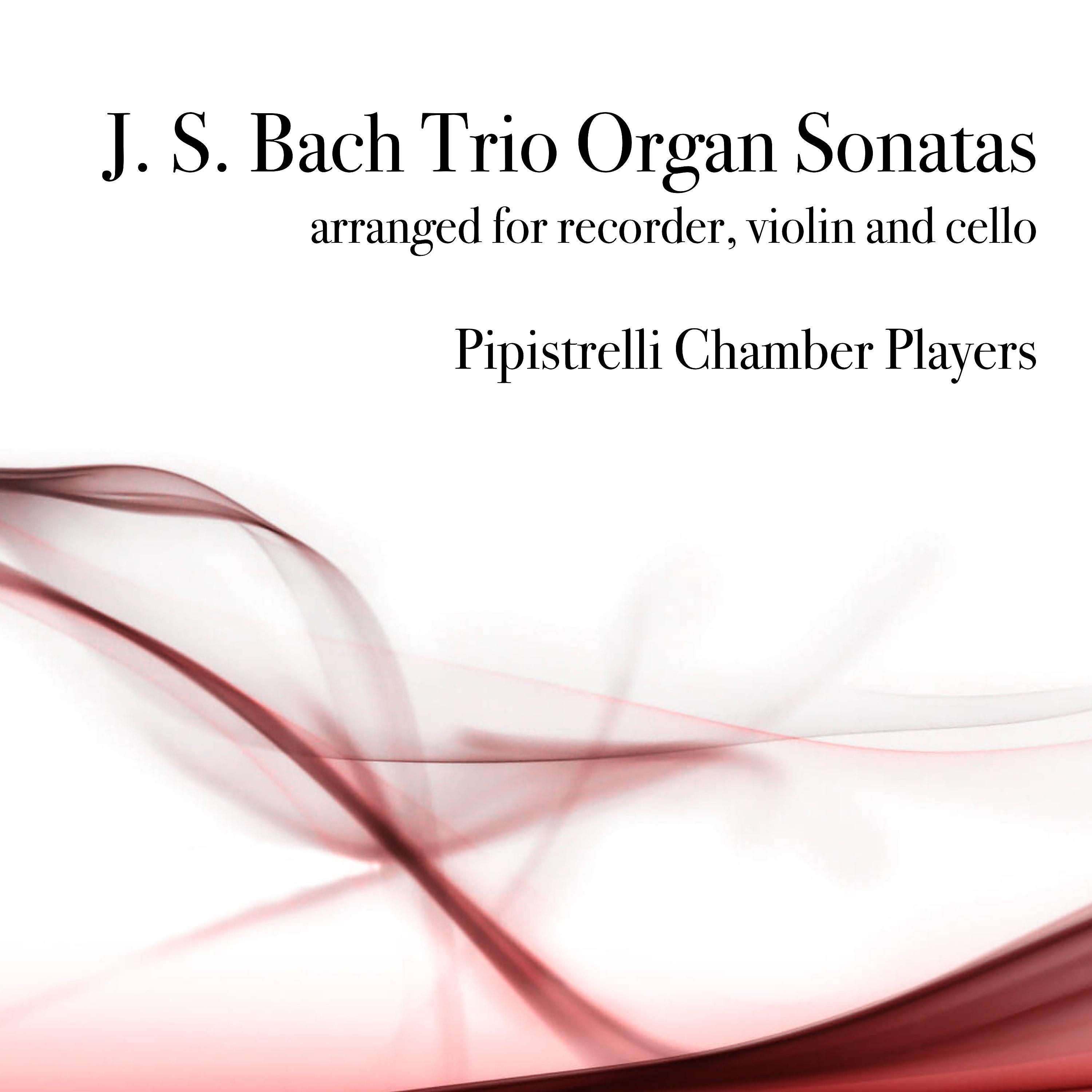 Постер альбома Bach Trio Organ Sonatas BWV 528-530