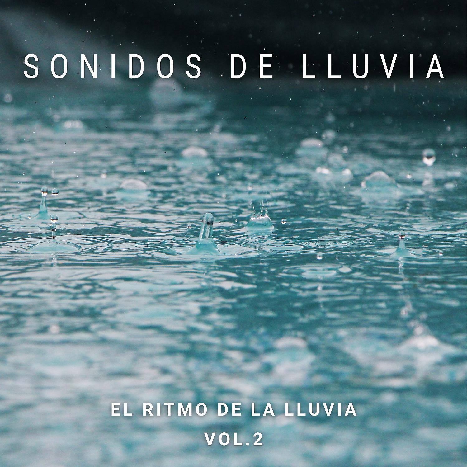 Постер альбома Sonidos De Lluvia:  El Ritmo De La Lluvia Vol. 2