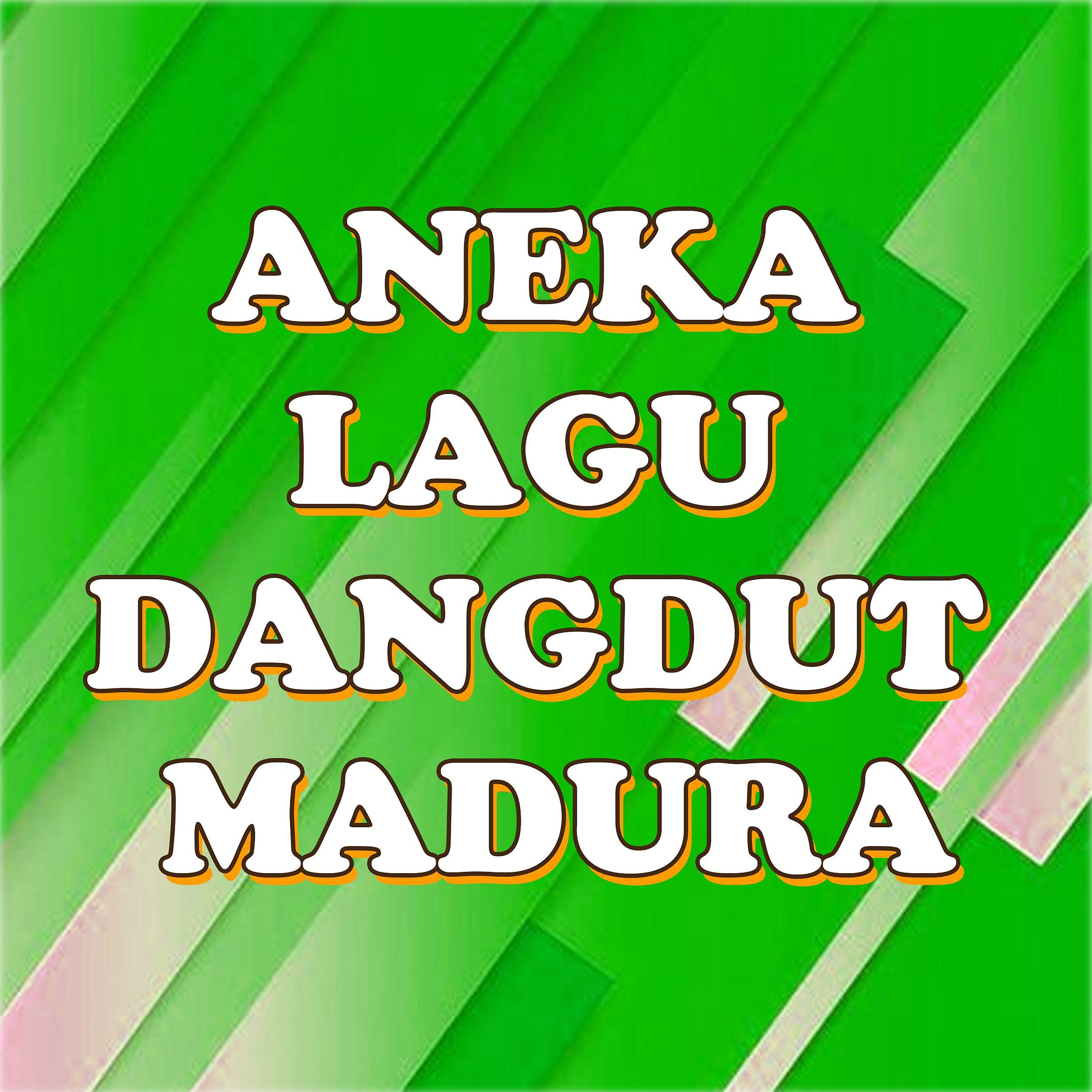 Постер альбома Aneka Lagu Dangdut Madura