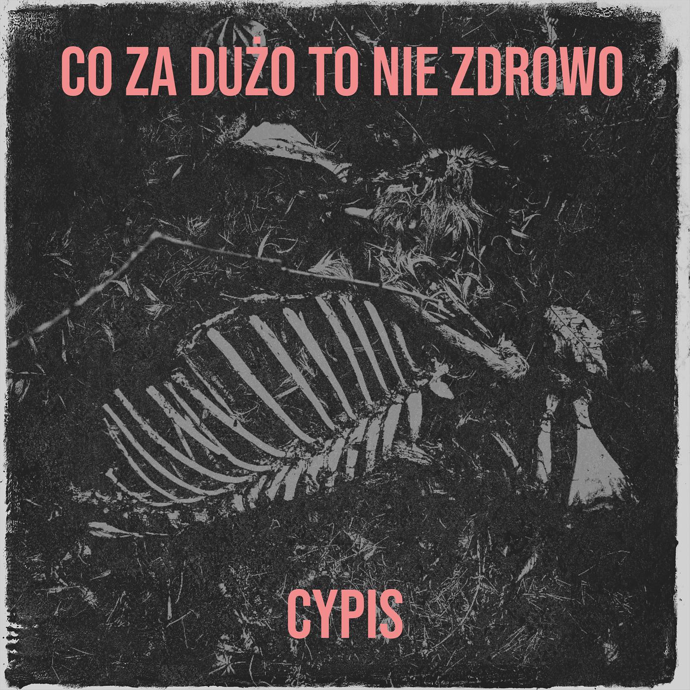 Постер альбома Co Za Dużo to Nie Zdrowo