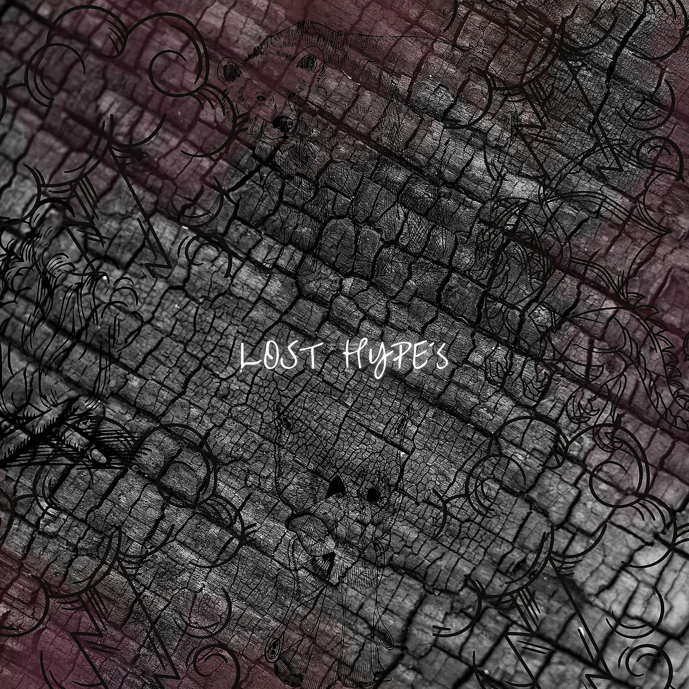 Постер альбома Lost Hype´S