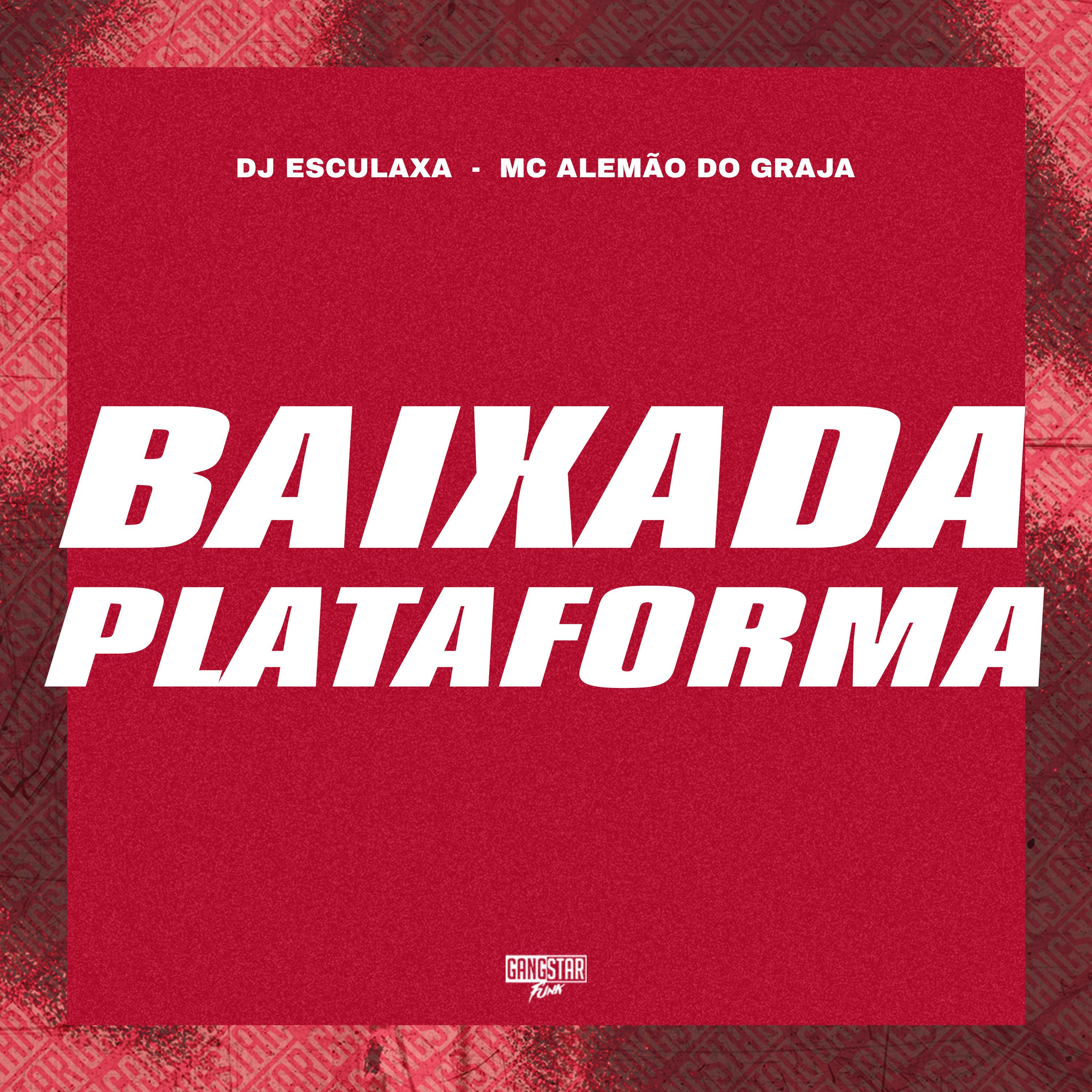 Постер альбома Baixada Plataforma