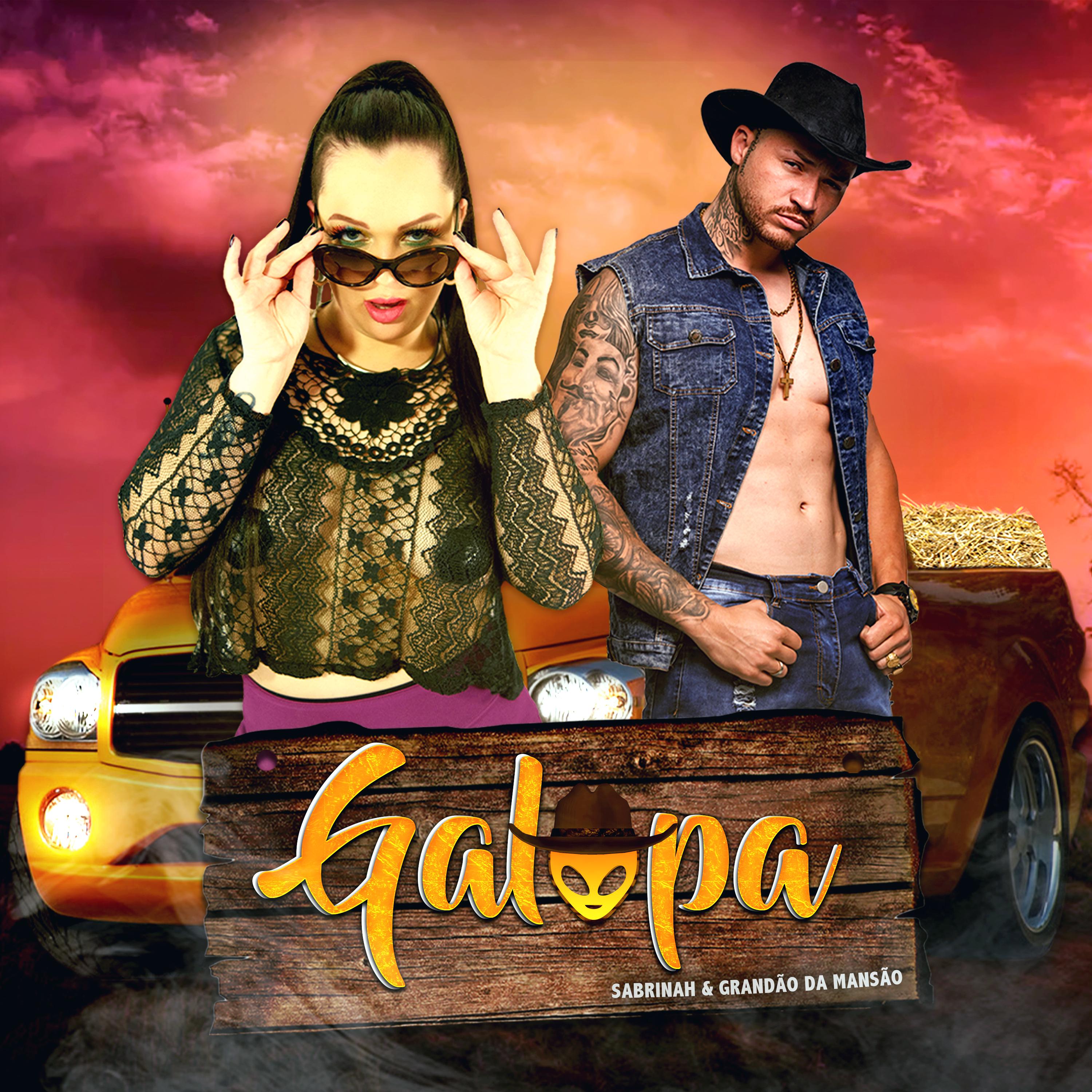 Постер альбома Galopa