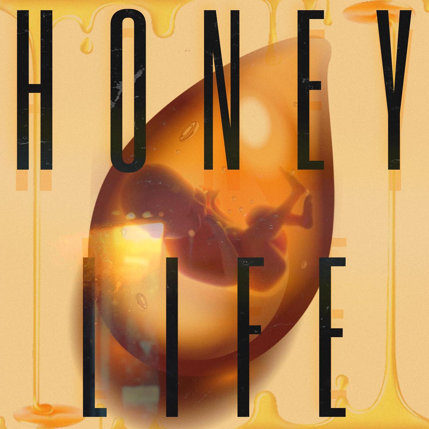 Постер альбома Honey Life