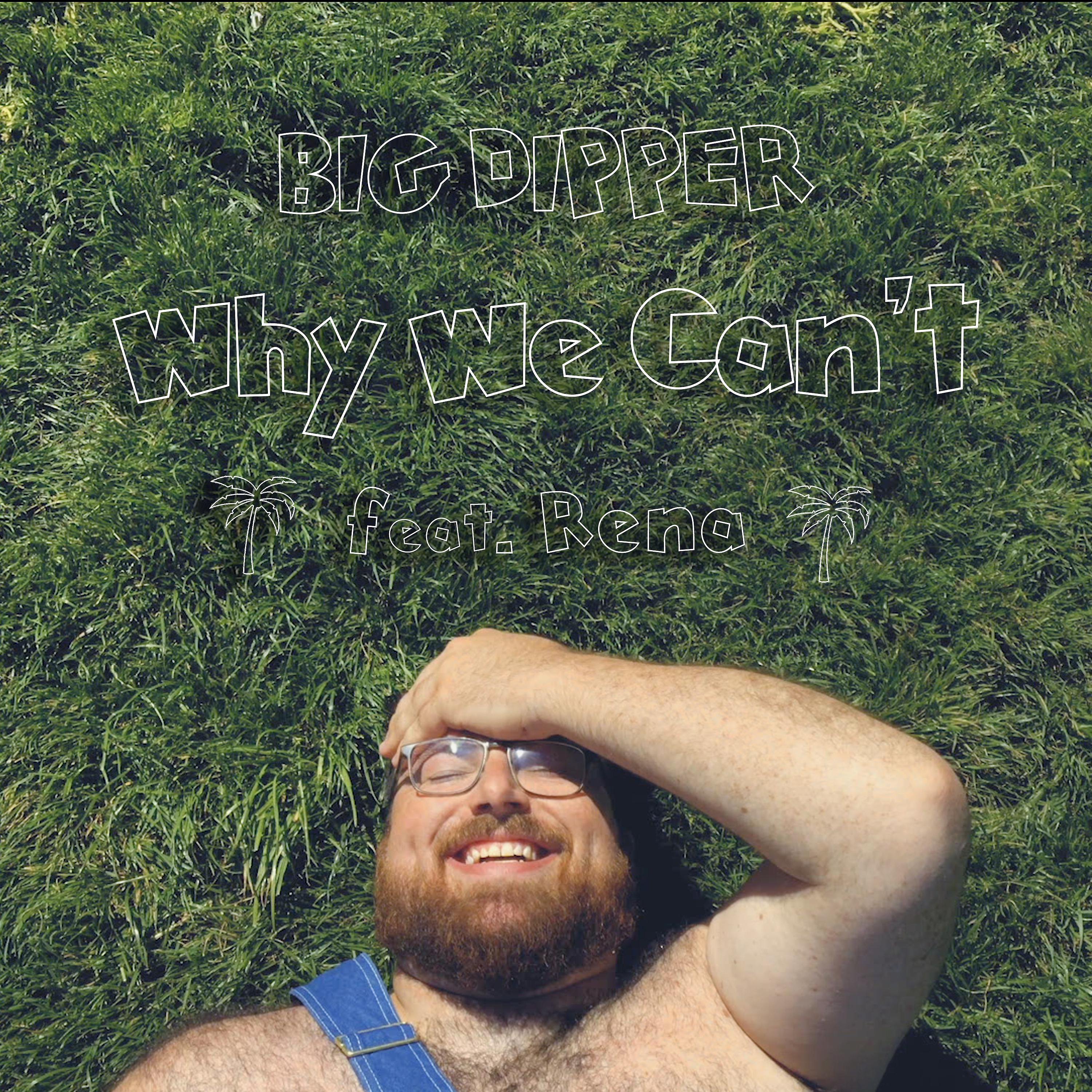 Постер альбома Why We Can't