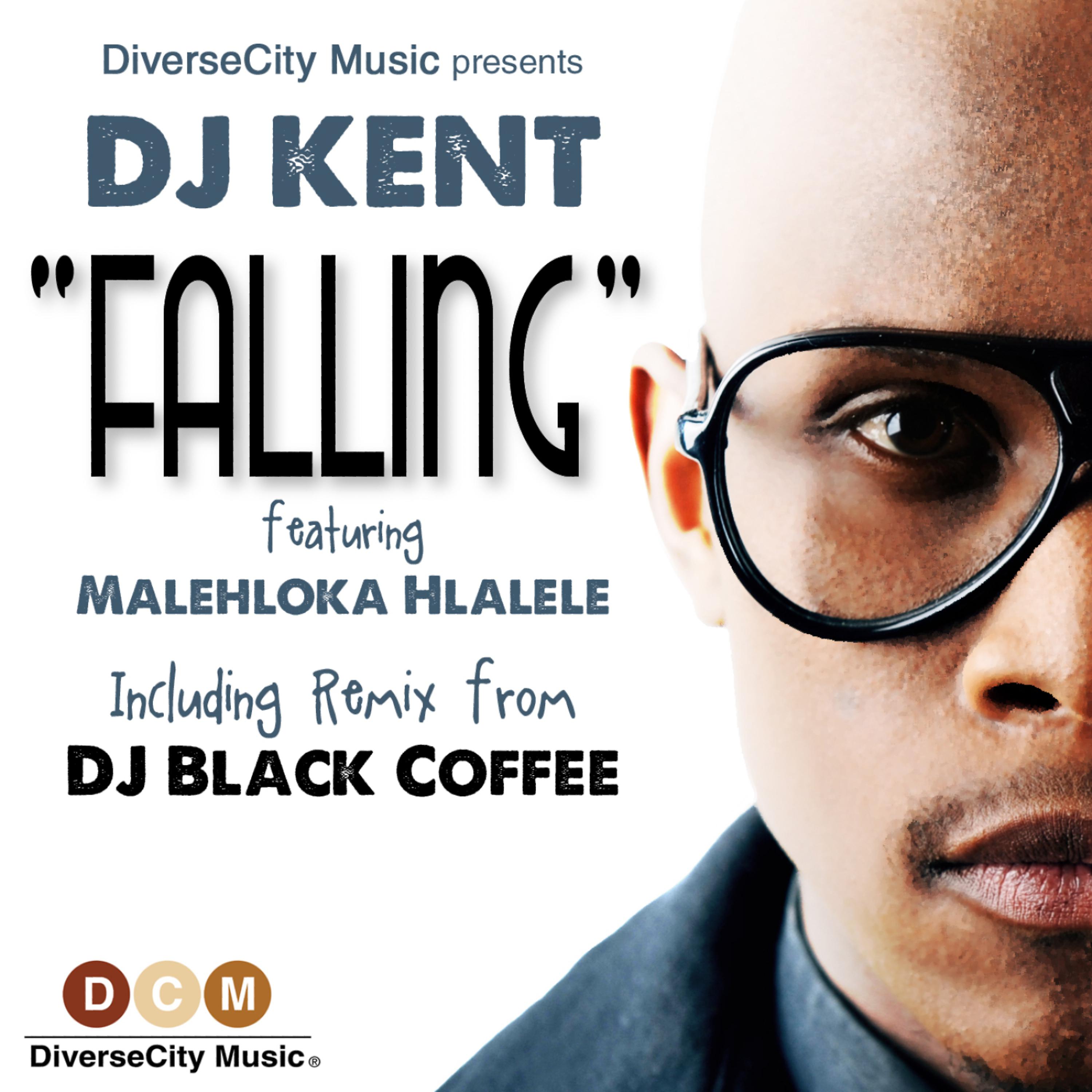 Постер альбома Falling (featuring Malehloka Hlalele)
