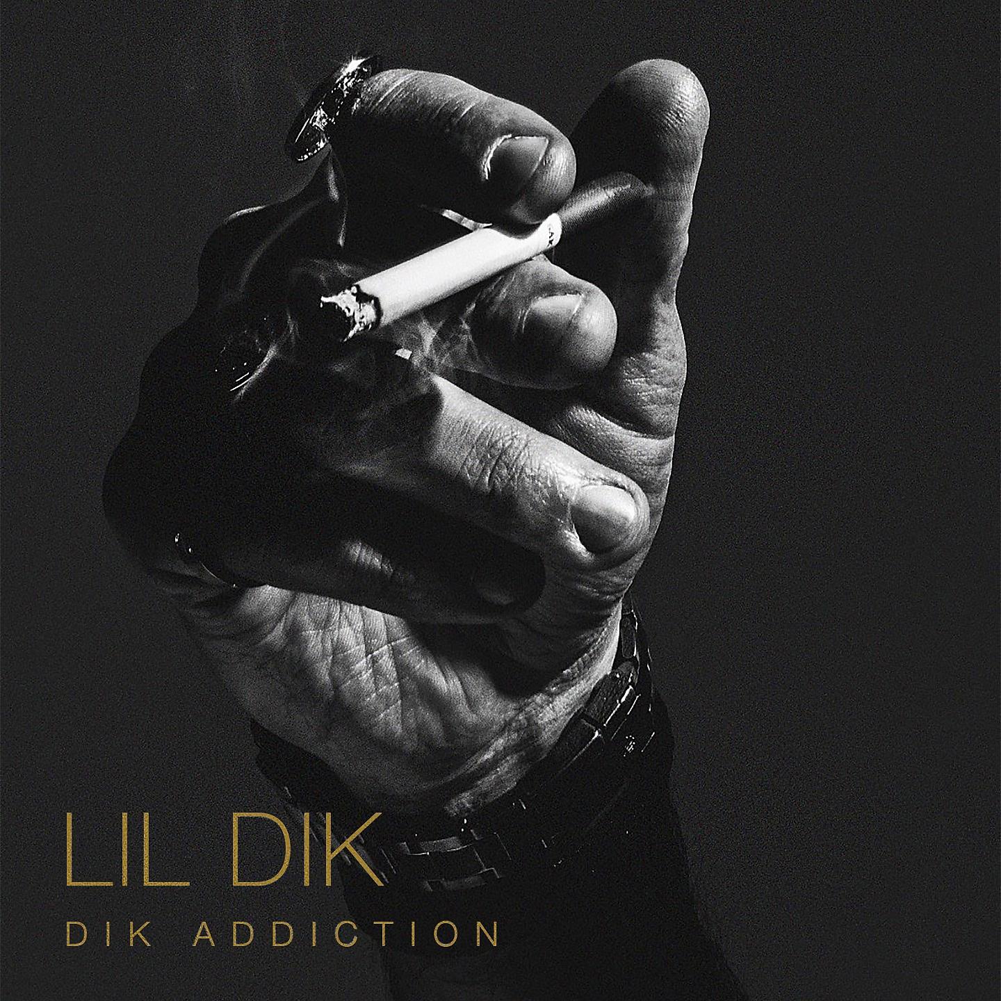 Постер альбома Dik Addiction