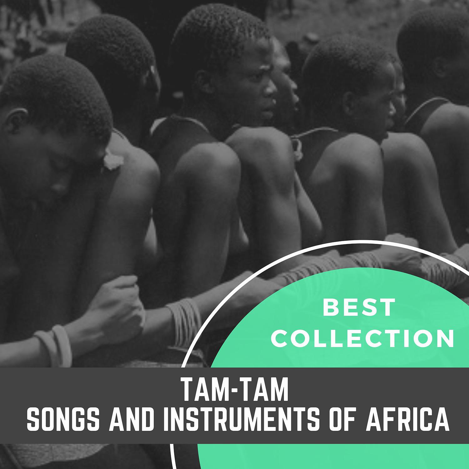 Постер альбома Best Collection Tam-Tam Songs and Instruments of Africa