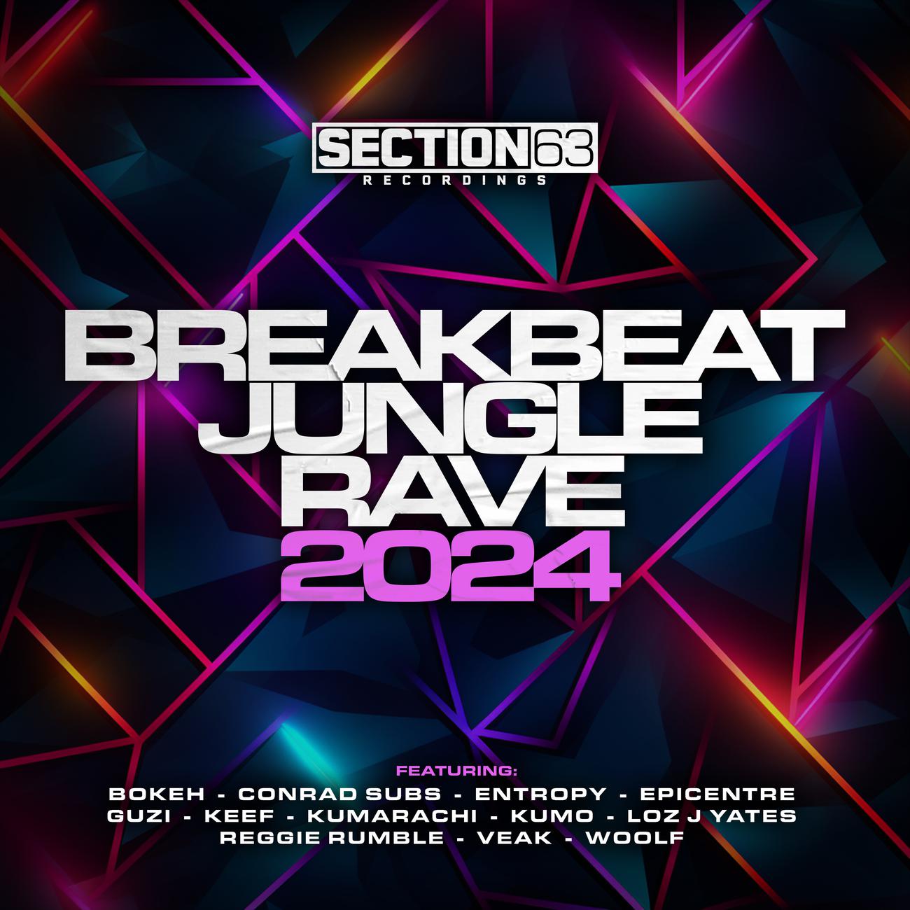Постер альбома Breakbeat, Jungle, Rave - 2024
