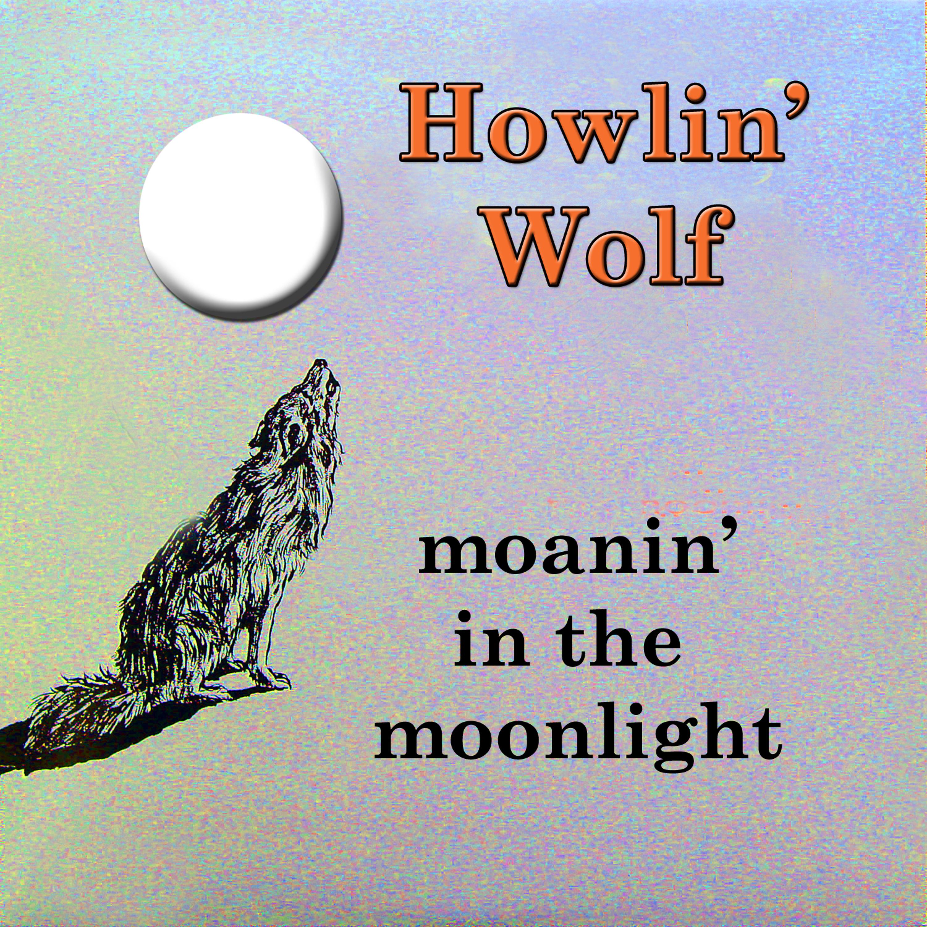 Постер альбома Moanin' in the Moonlight