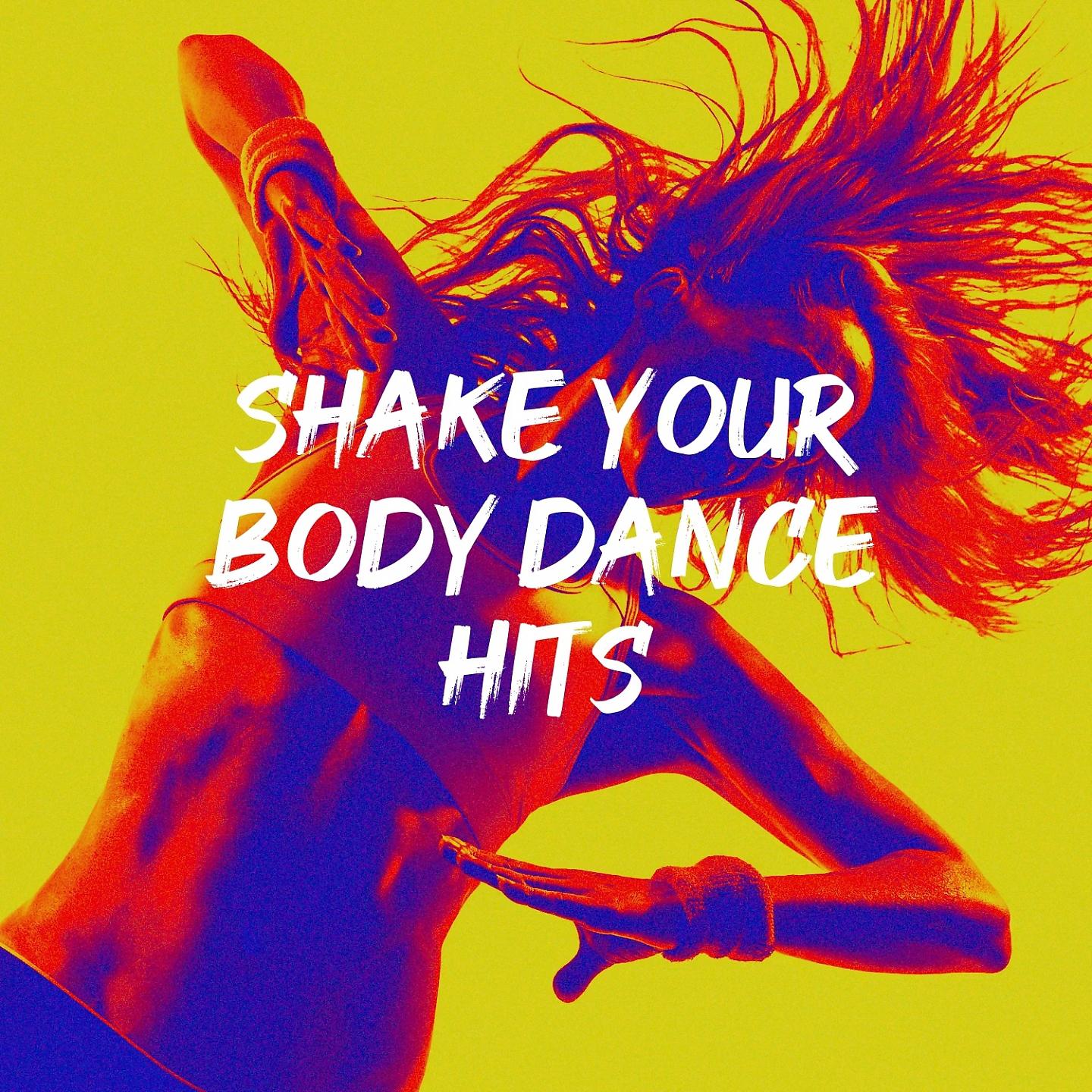 Постер альбома Shake Your Body Dance Hits