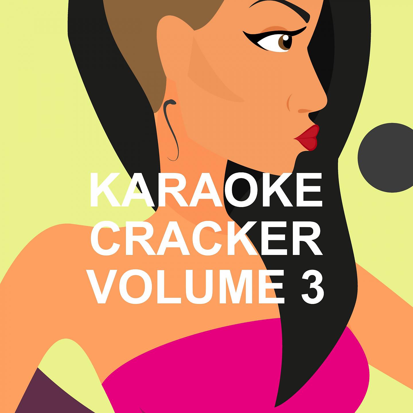 Постер альбома Karaoke Cracker, Vol. 3