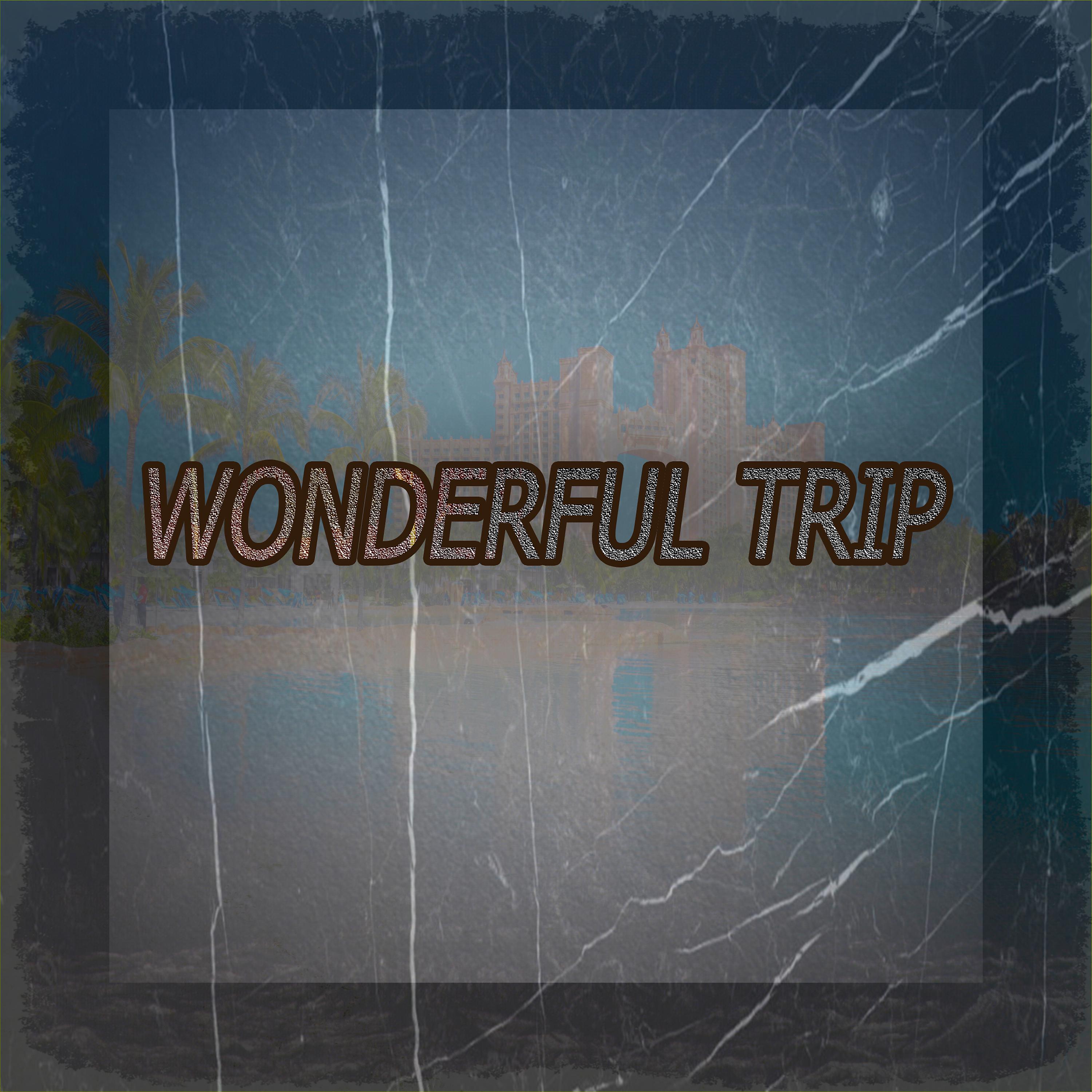 Постер альбома Wonderful Trip