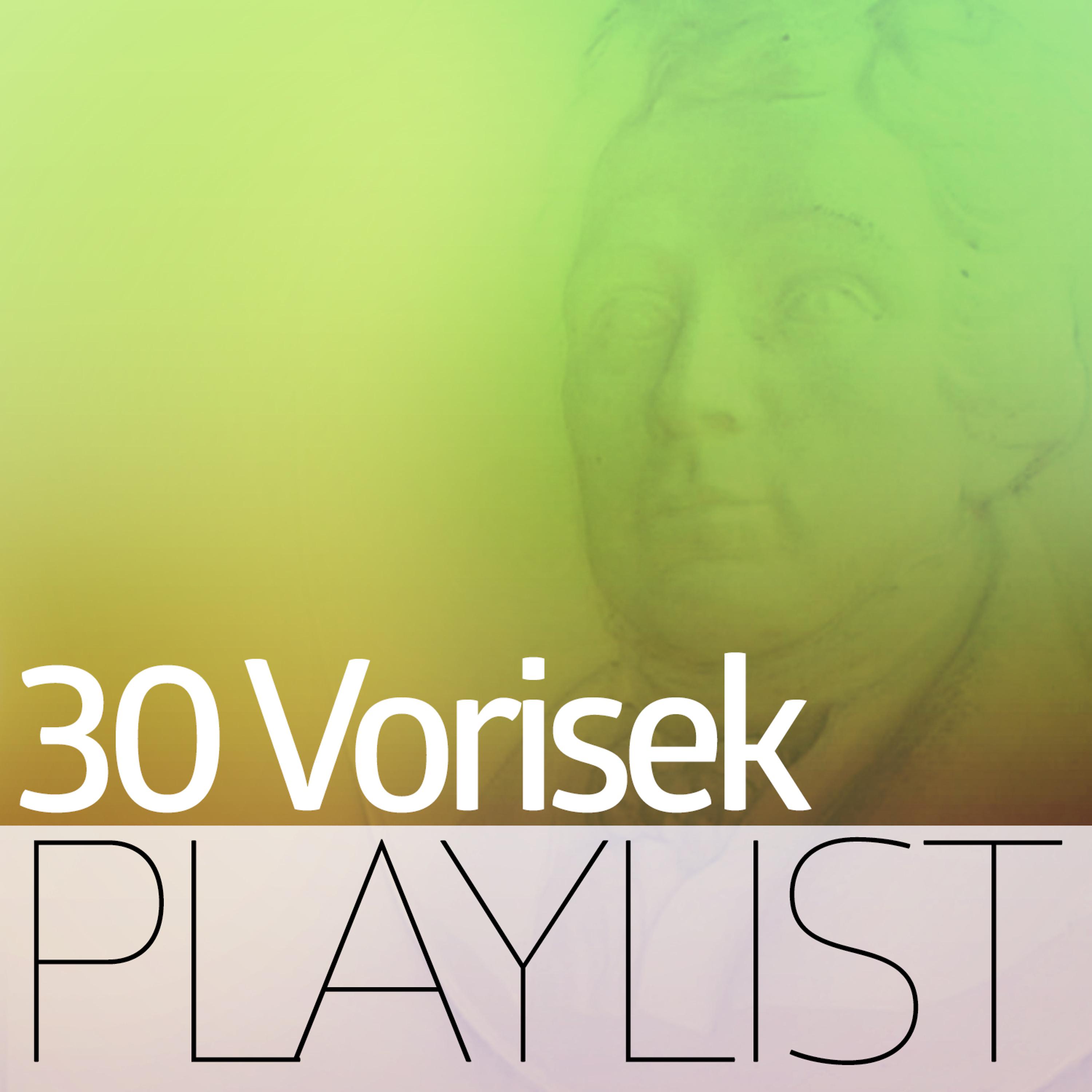 Постер альбома 30 Vorisek Playlist
