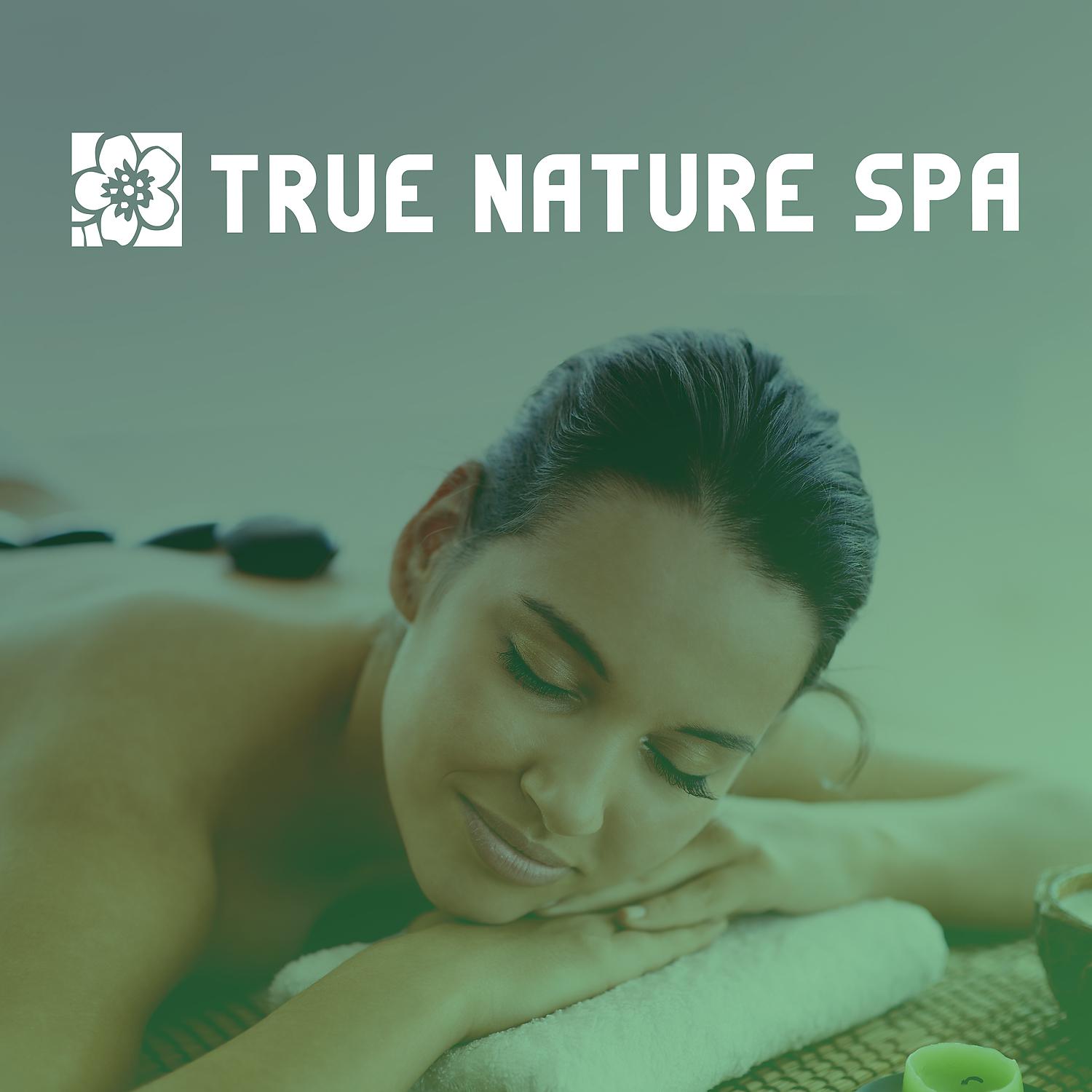 Постер альбома True Nature Spa – Nature Beauty, Hot Massage, Beautiful Day, Sauna Session