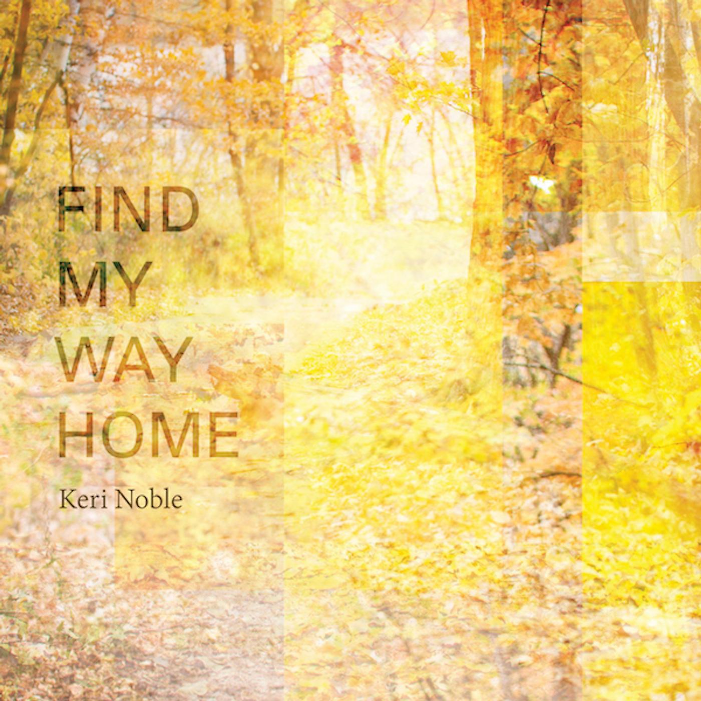 Постер альбома Find My Way Home