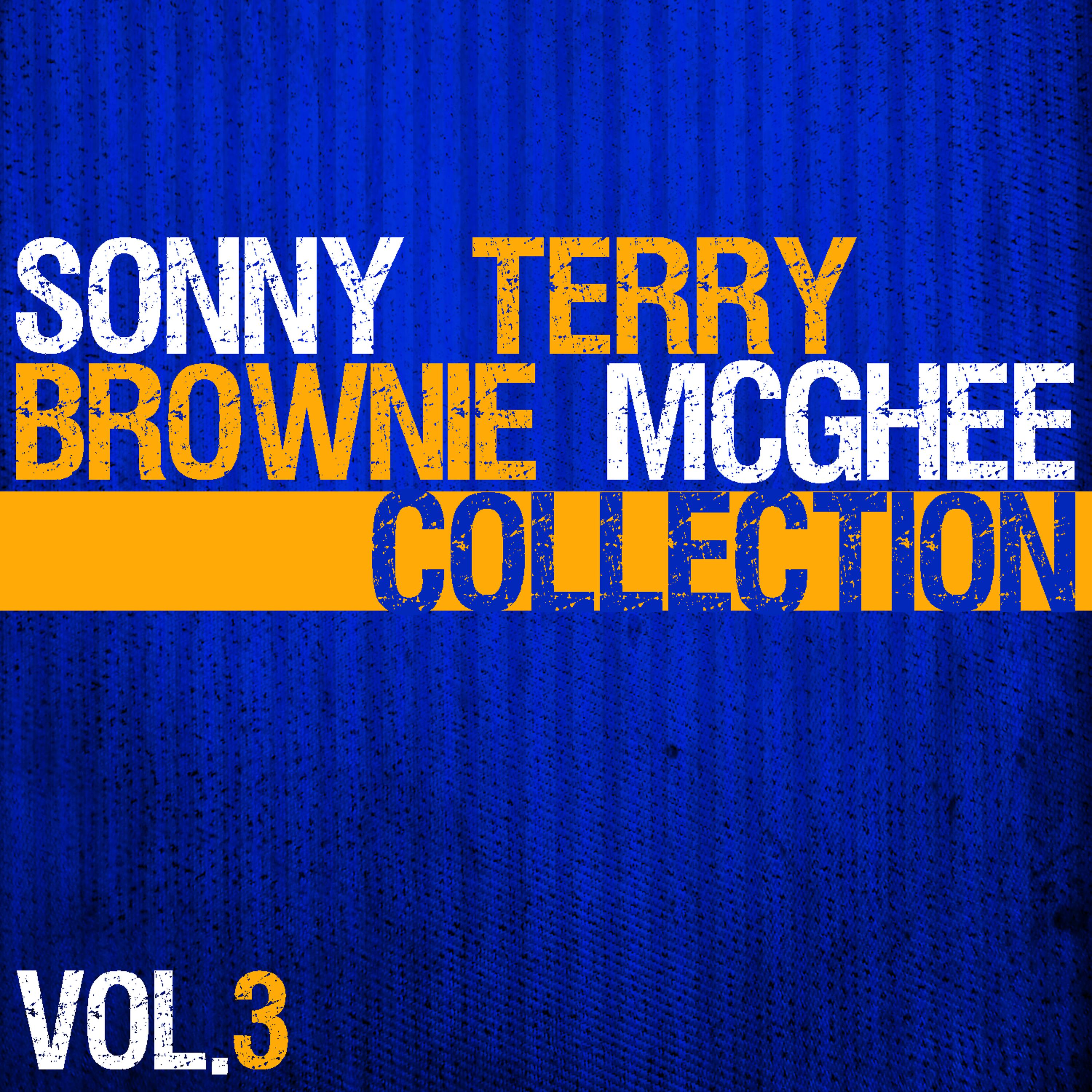 Постер альбома The Sonny & Mcghee Collection, Vol. 3
