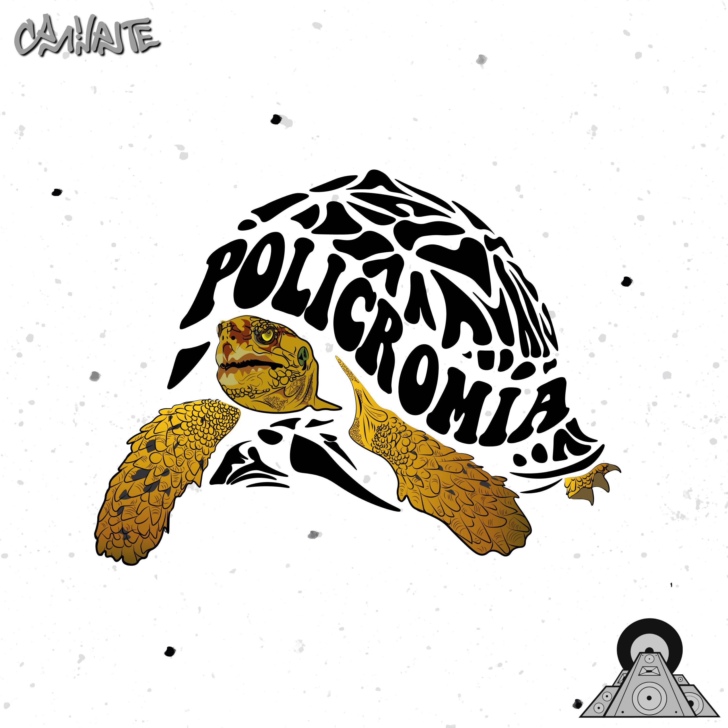 Постер альбома Policromía