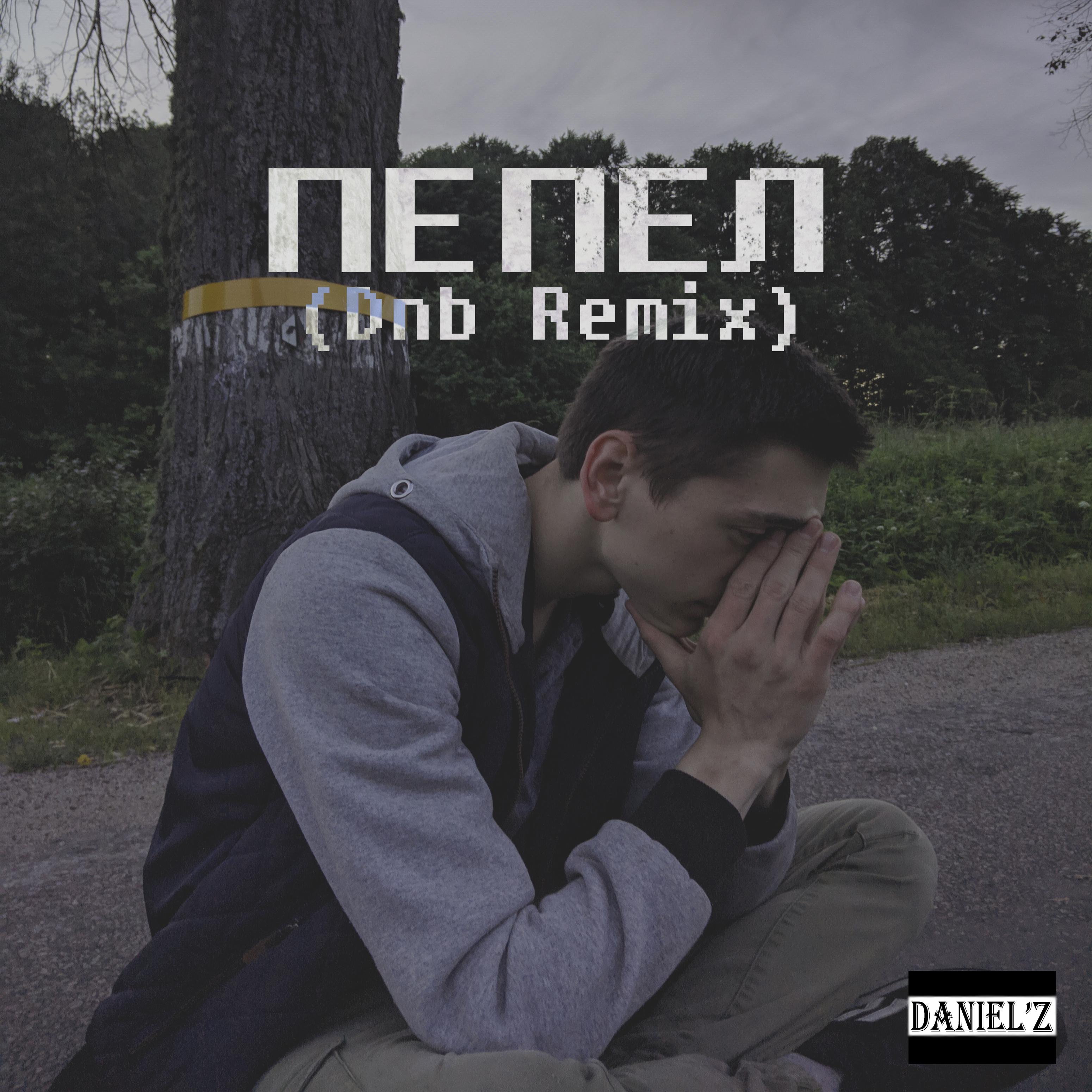 Постер альбома Пепел (Dnb Remix)