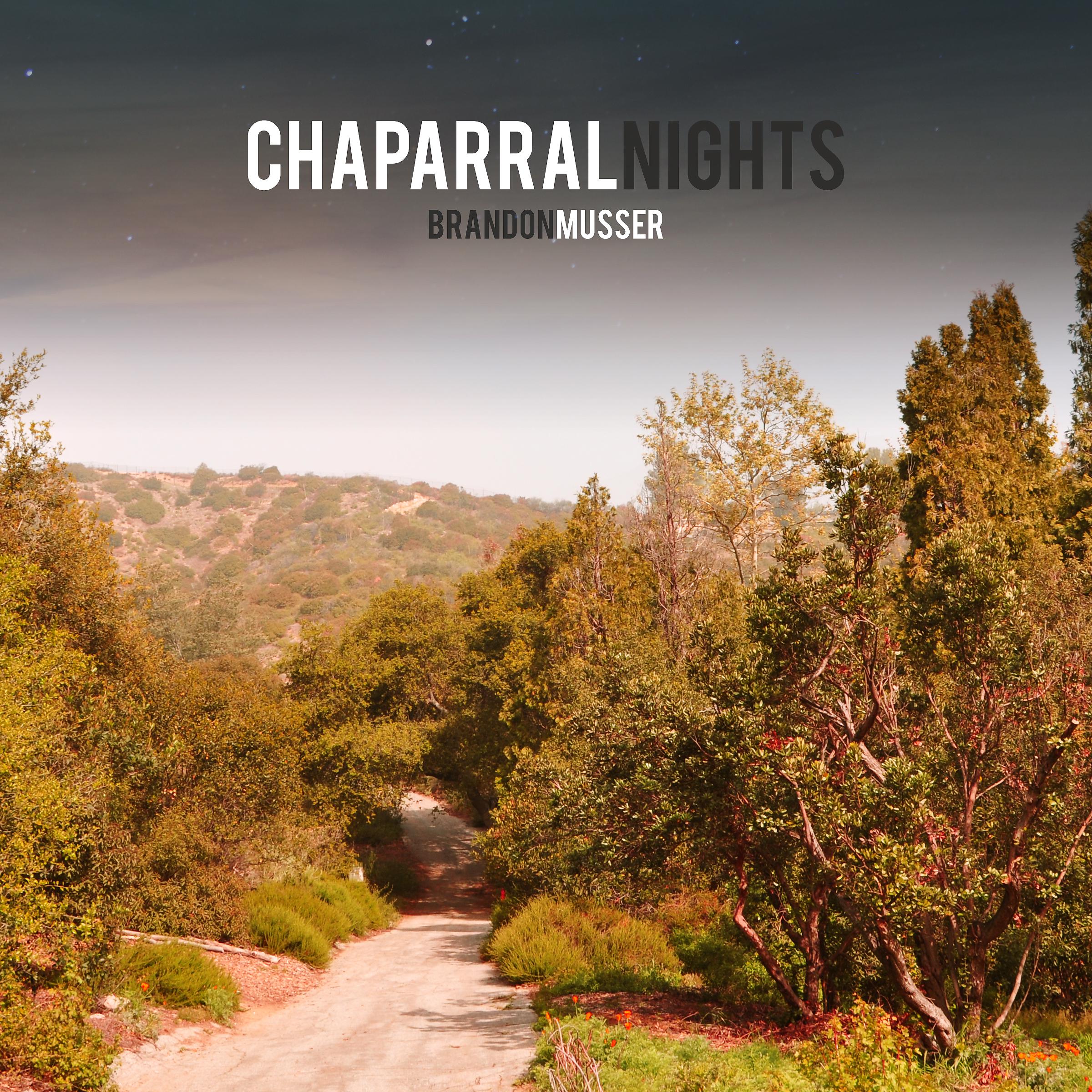 Постер альбома Chaparral Nights