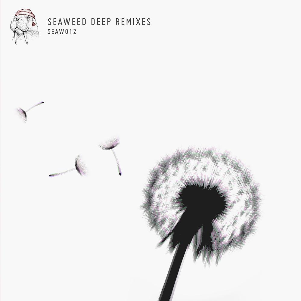 Постер альбома Seaweed Deep Remixes