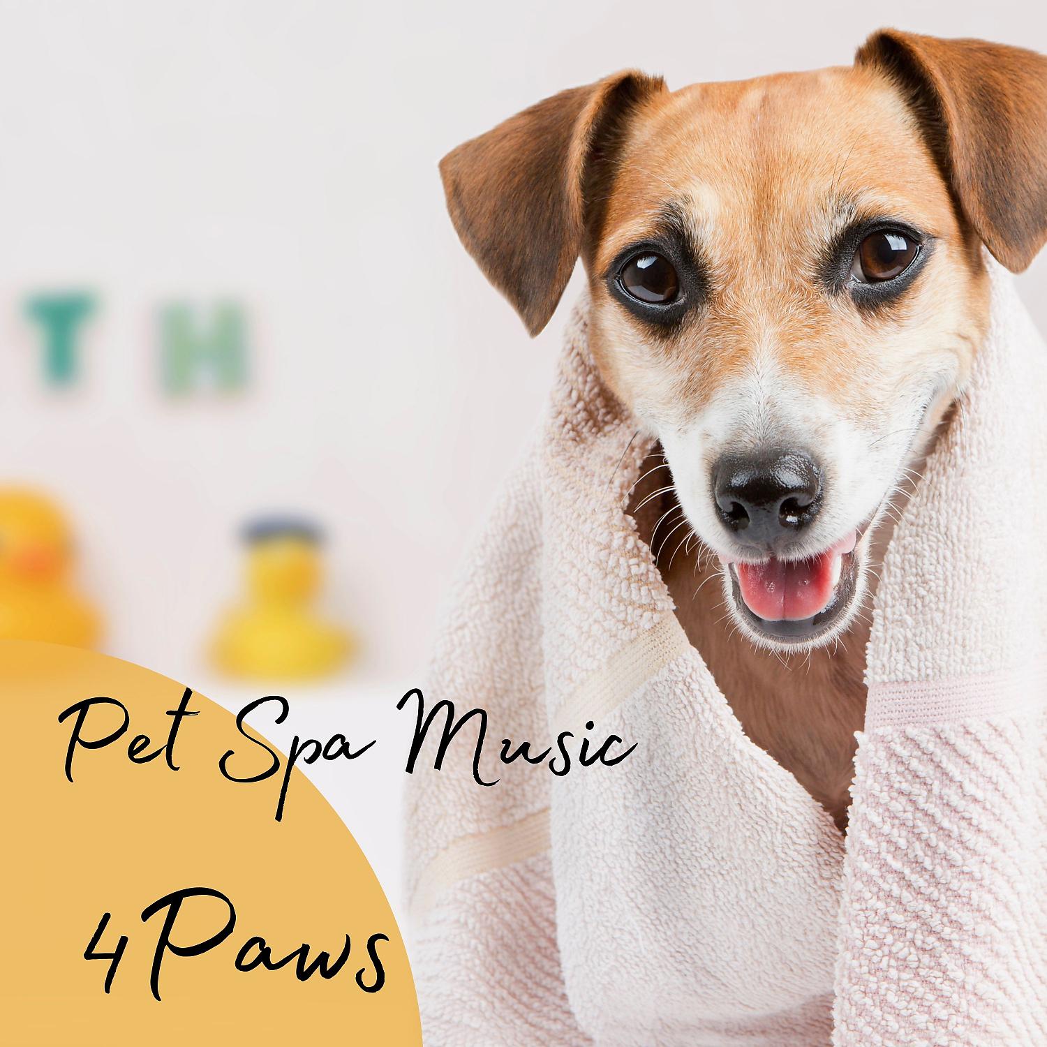 Постер альбома 4Paws: Pet Spa Music