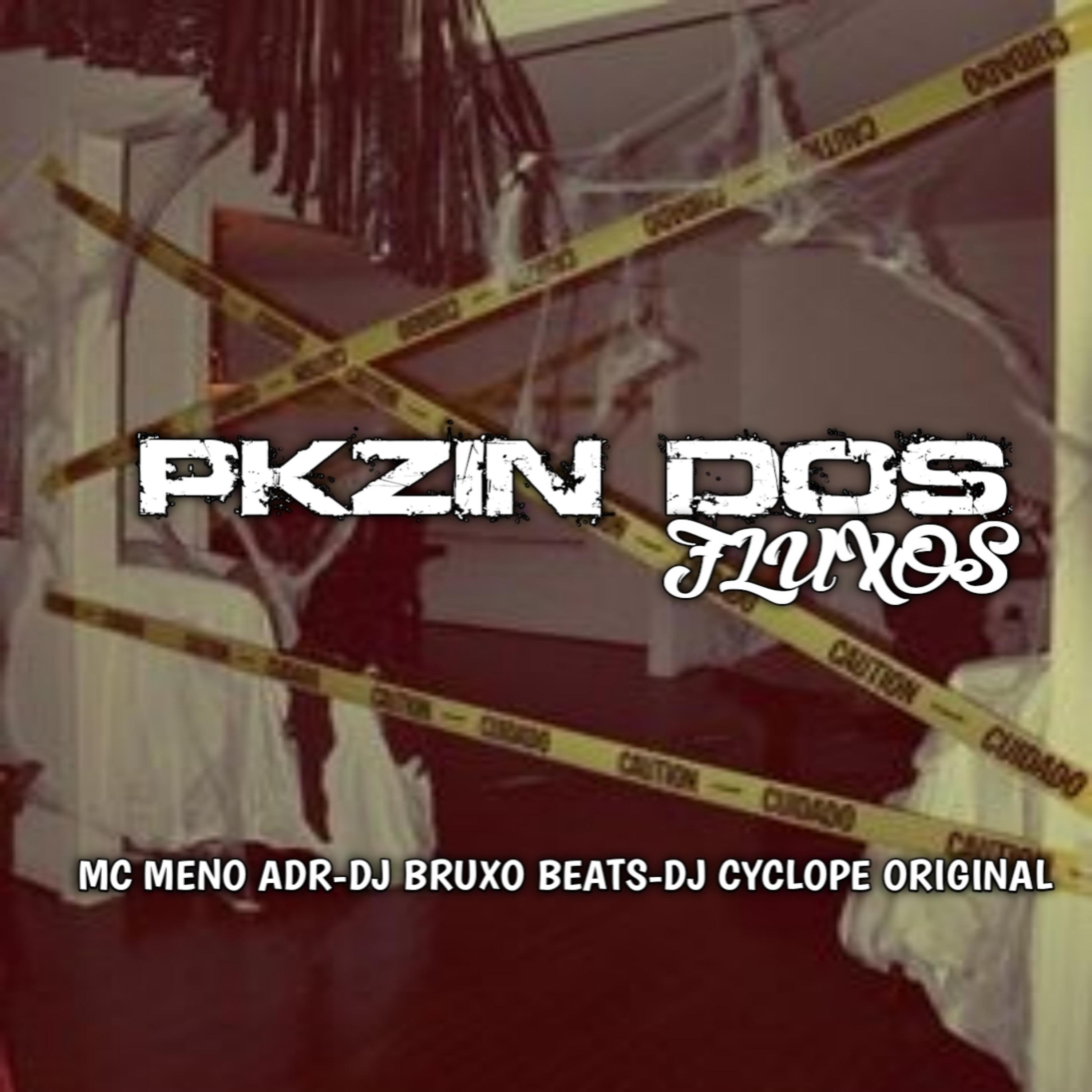 Постер альбома Pkzin dos Fluxos