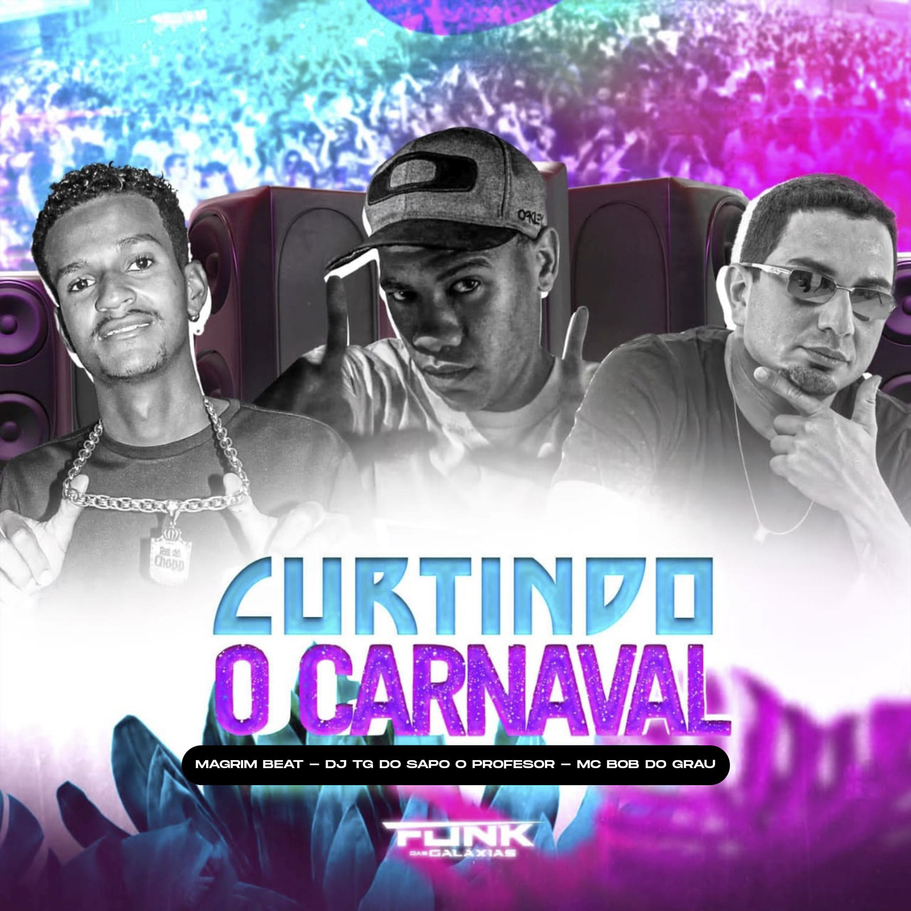 Постер альбома Curtindo o Carnaval