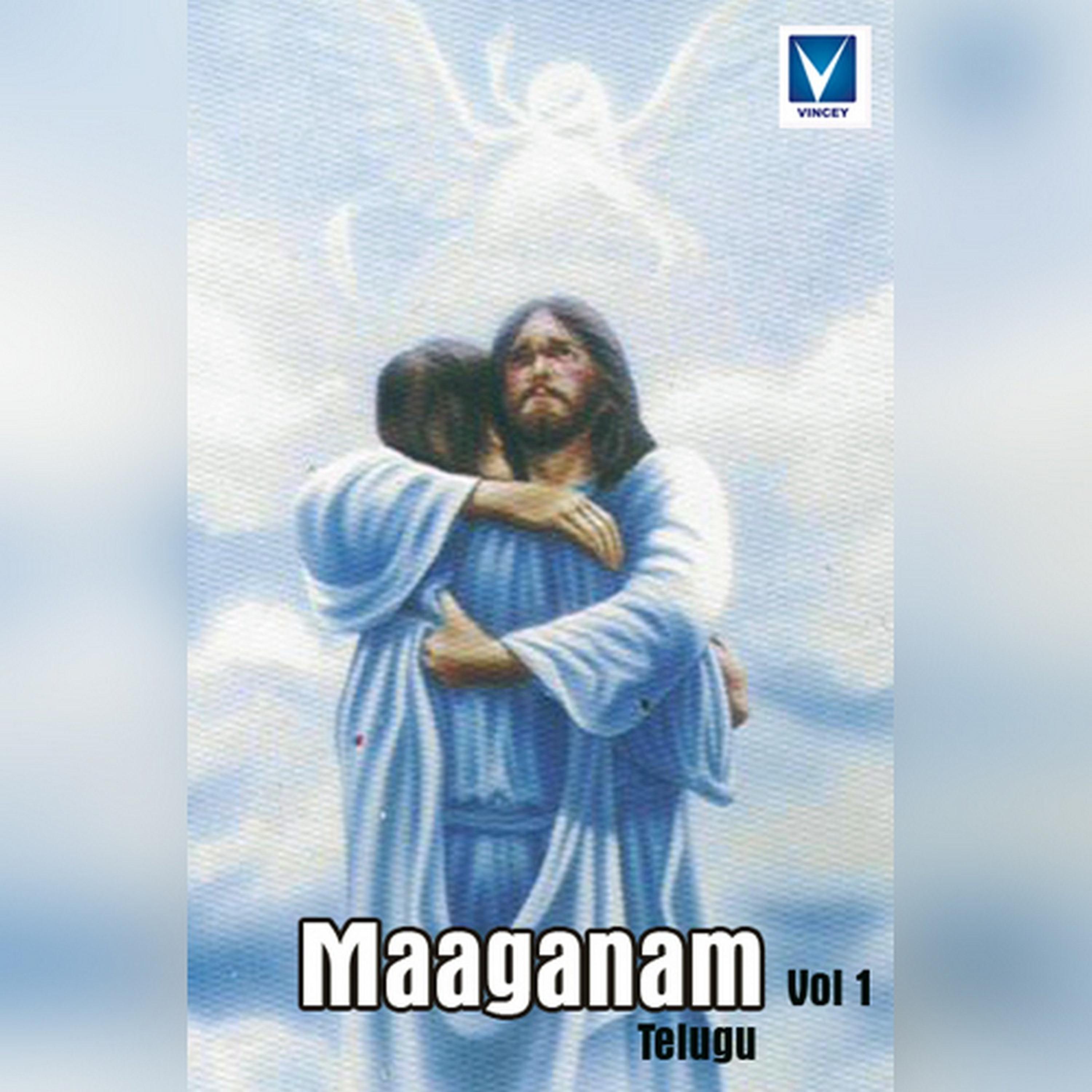 Постер альбома Maaganam, Vol. 1