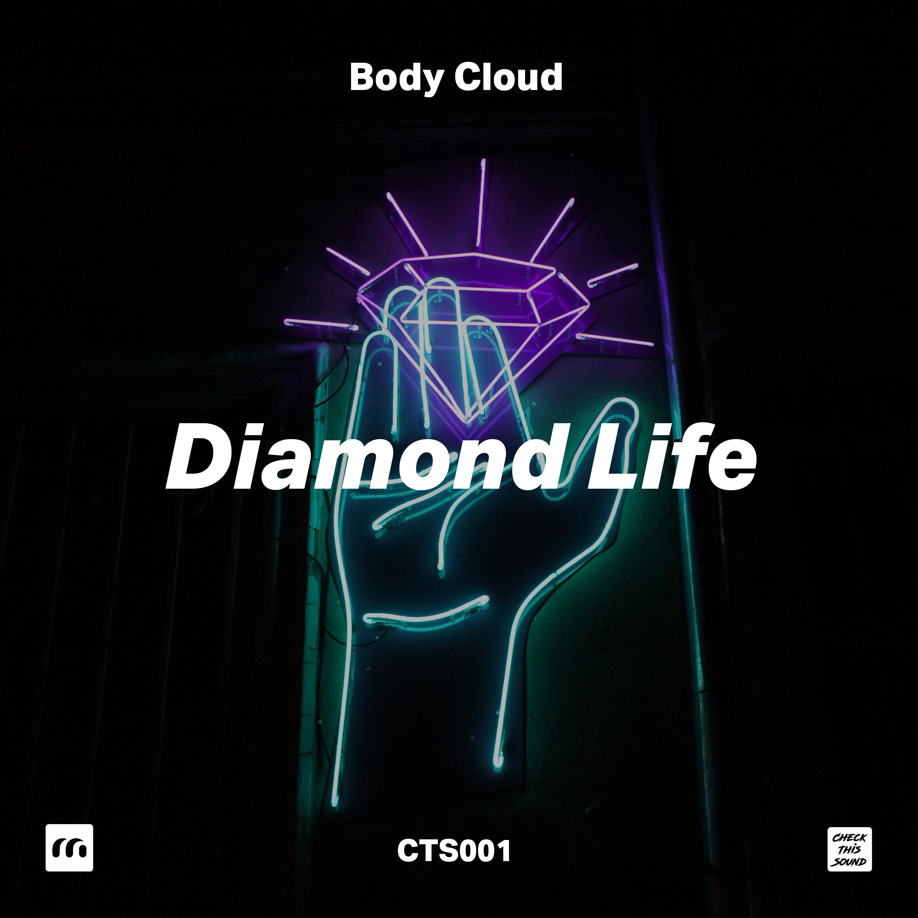 Постер альбома Diamond Life
