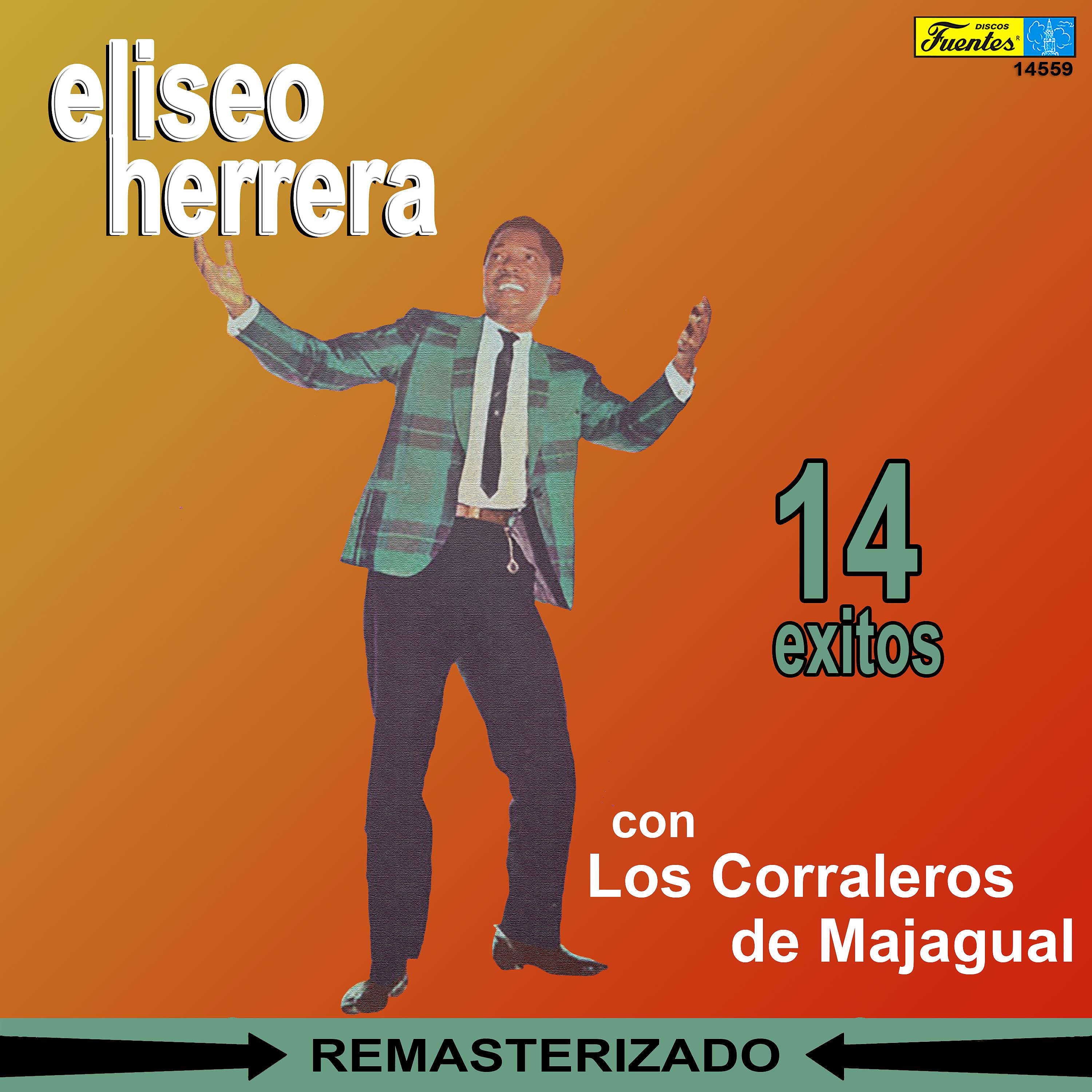 Постер альбома 14 Éxitos Con los Corraleros de Majagual