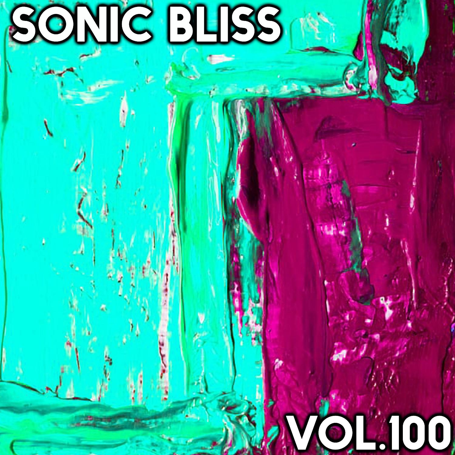 Постер альбома Sonic Bliss, Vol. 100
