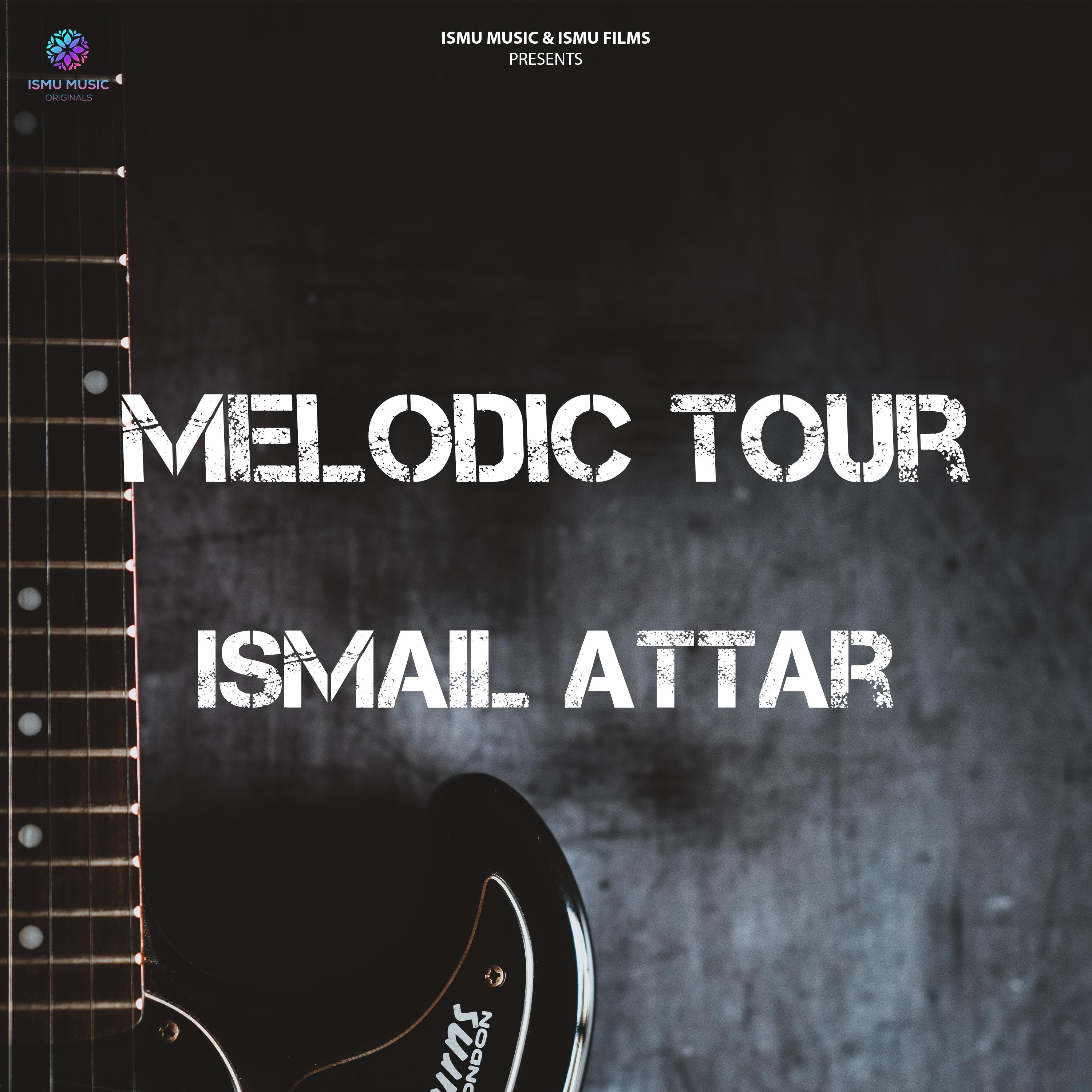 Постер альбома Melodic Tour