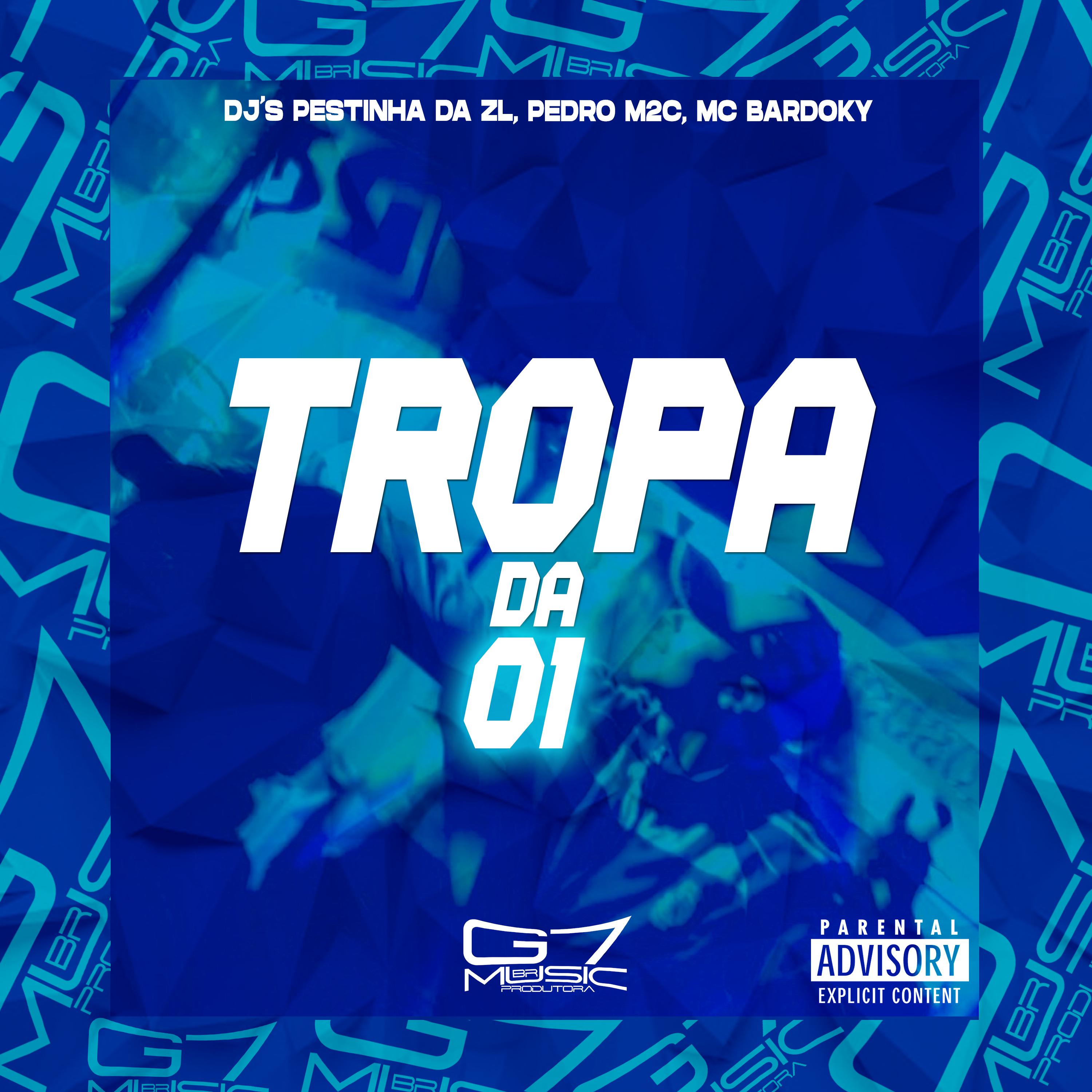 Постер альбома Tropa da 01