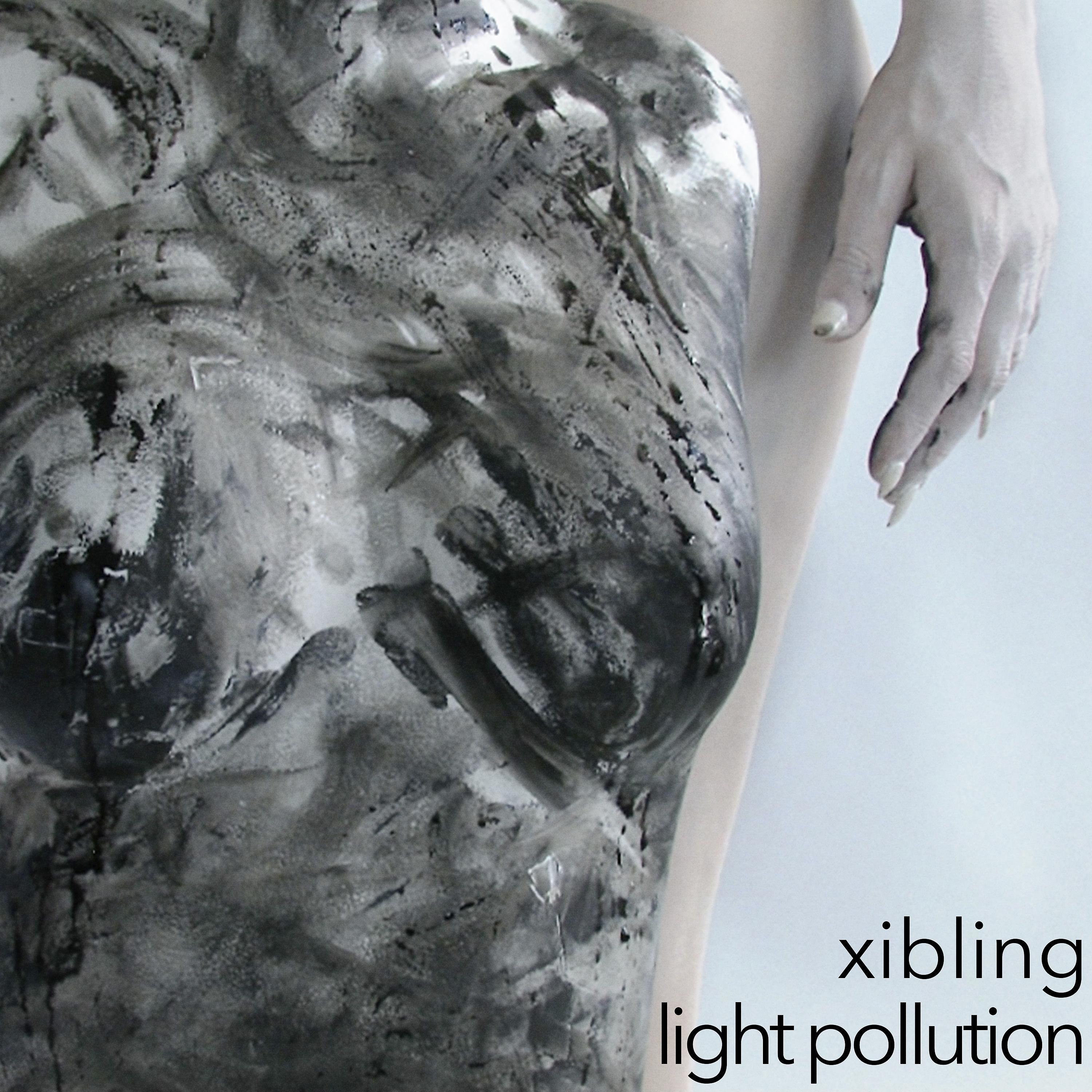Постер альбома Light Pollution