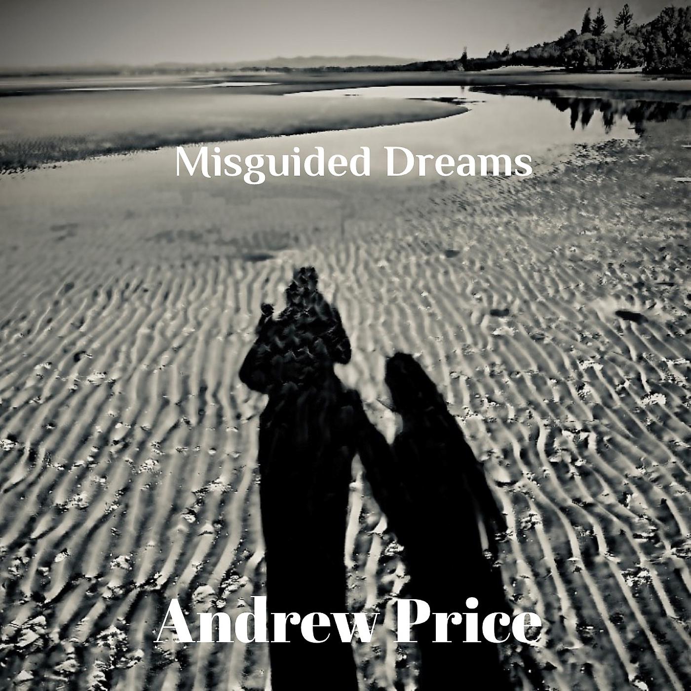 Постер альбома Misguided Dreams