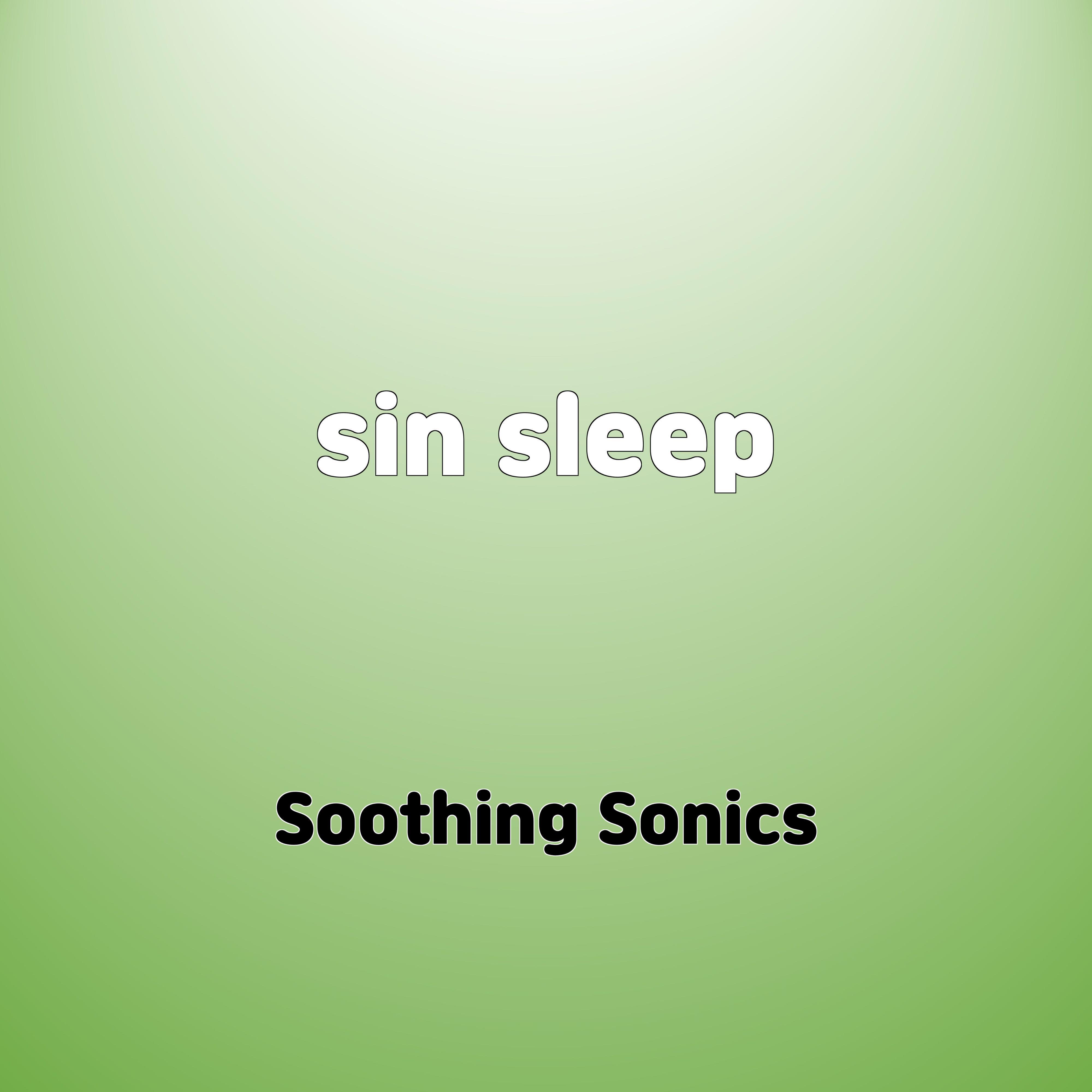 Постер альбома sin sleep