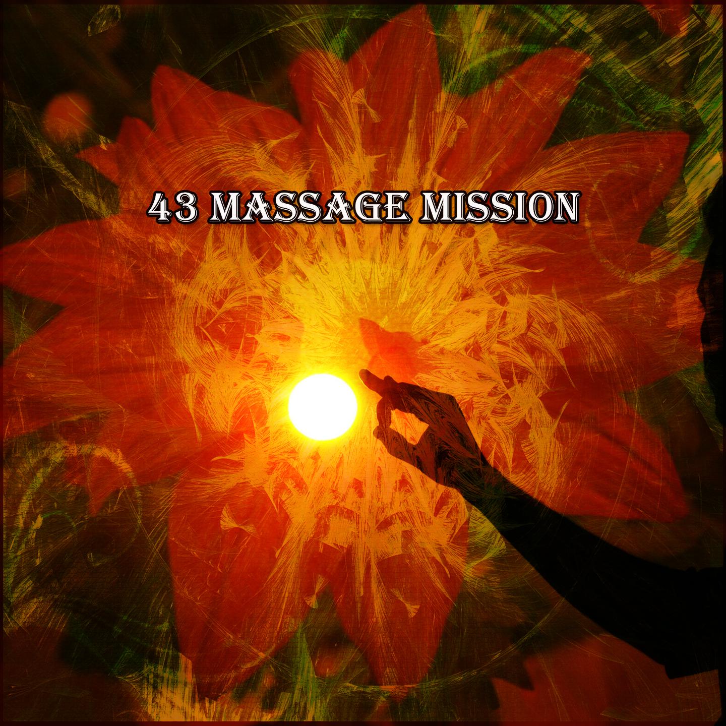 Постер альбома 43 Massage Mission