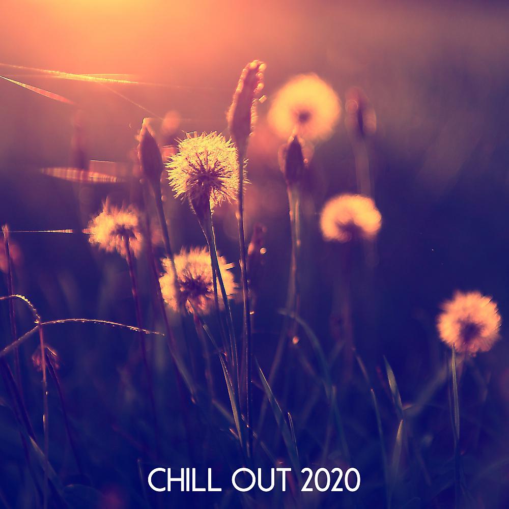 Постер альбома Chill Out 2020
