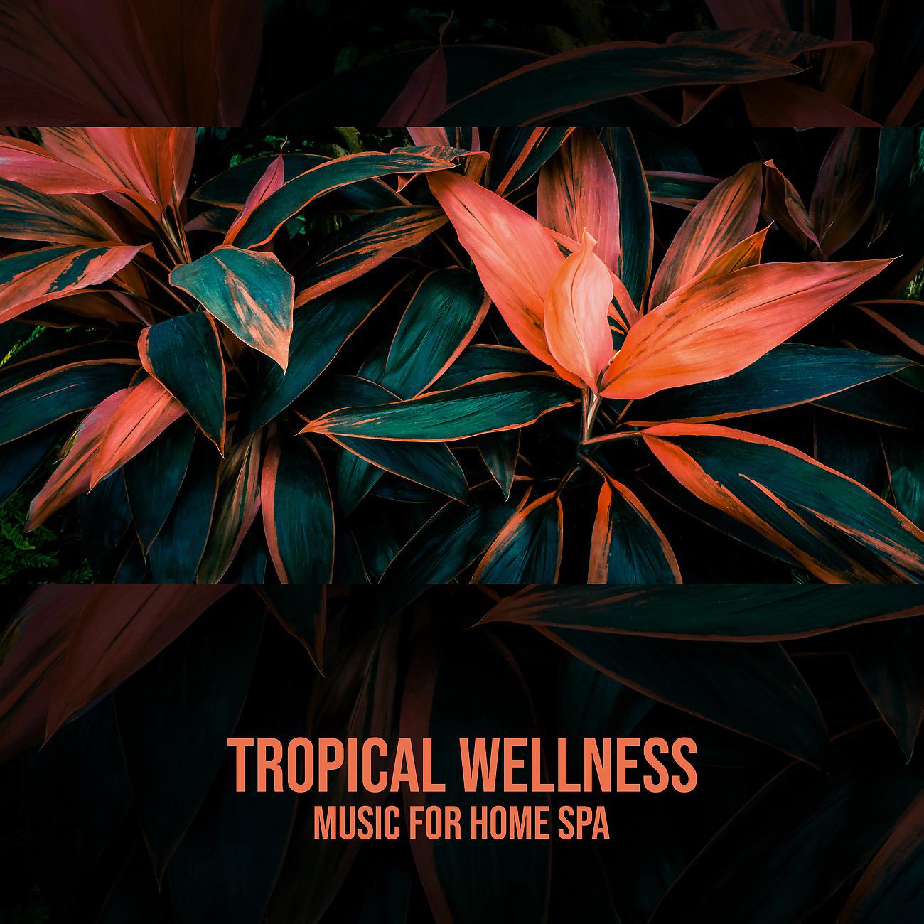 Постер альбома Tropical Wellness