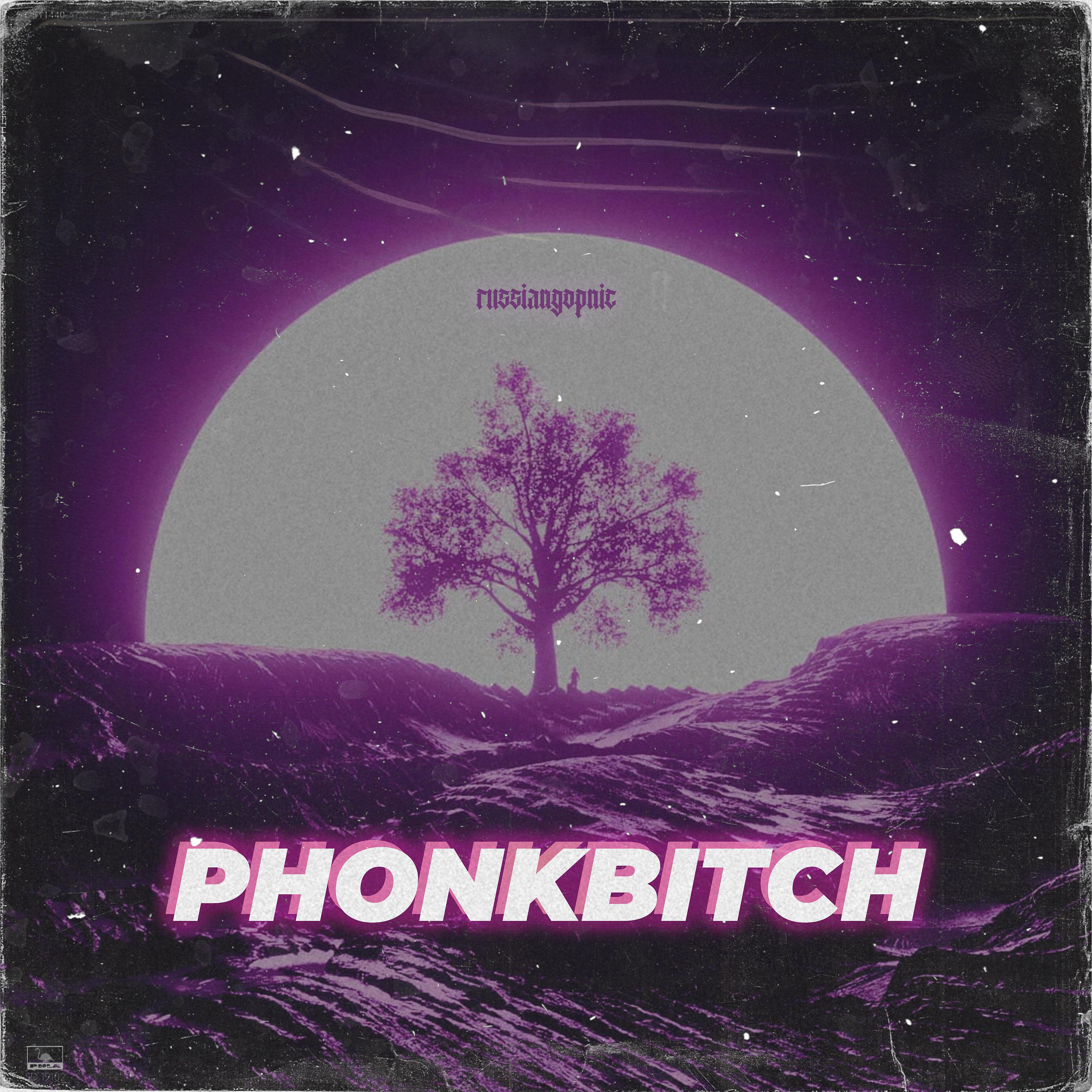 Постер альбома PHONK BITCH