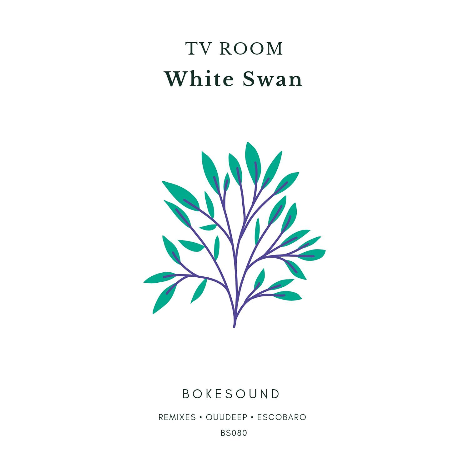 Постер альбома White Swan