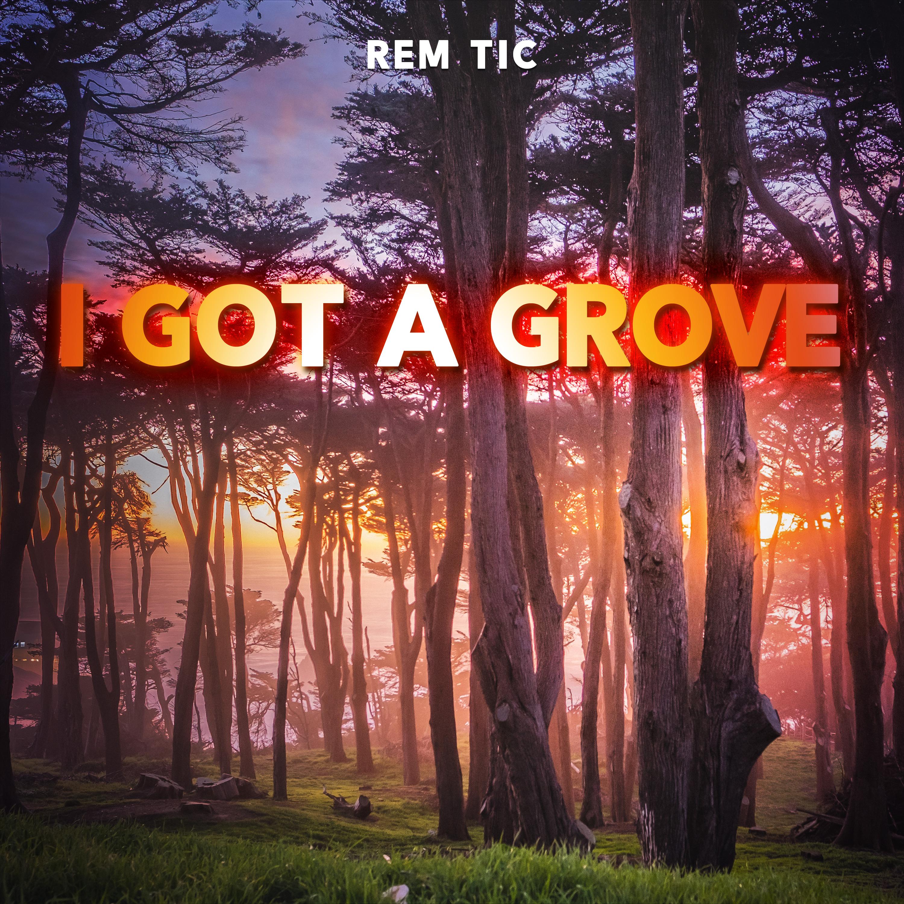 Постер альбома I Got A Grove