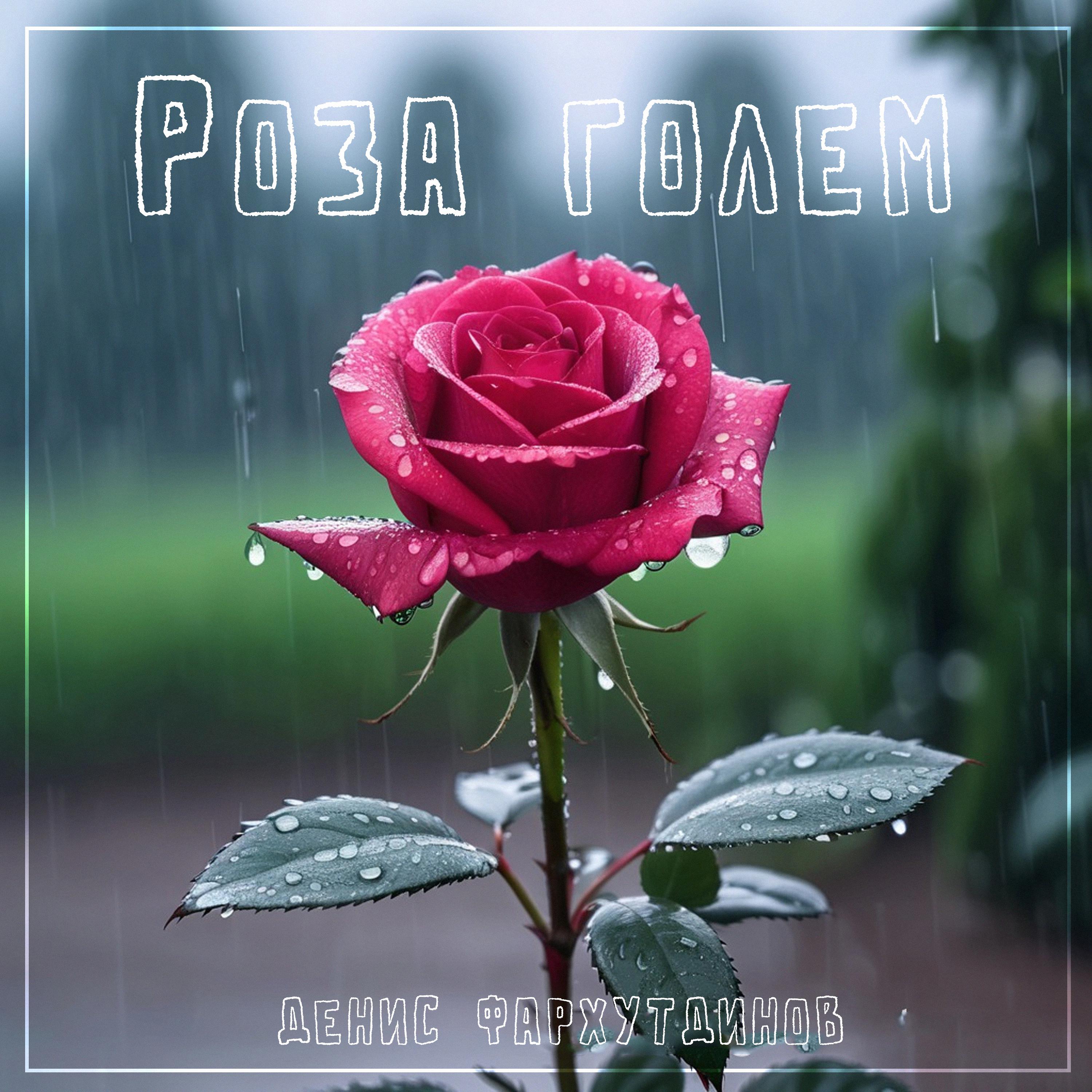 Постер альбома Роза гөлем