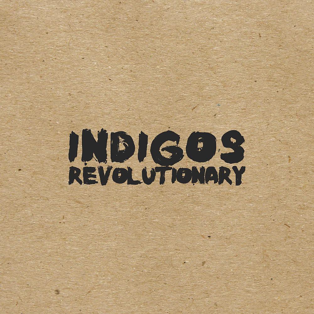 Постер альбома Revolutionary