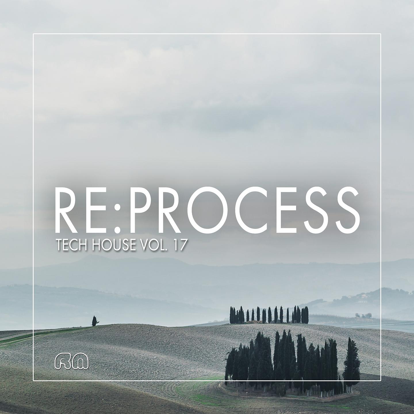 Постер альбома Re:Process - Tech House, Vol. 17