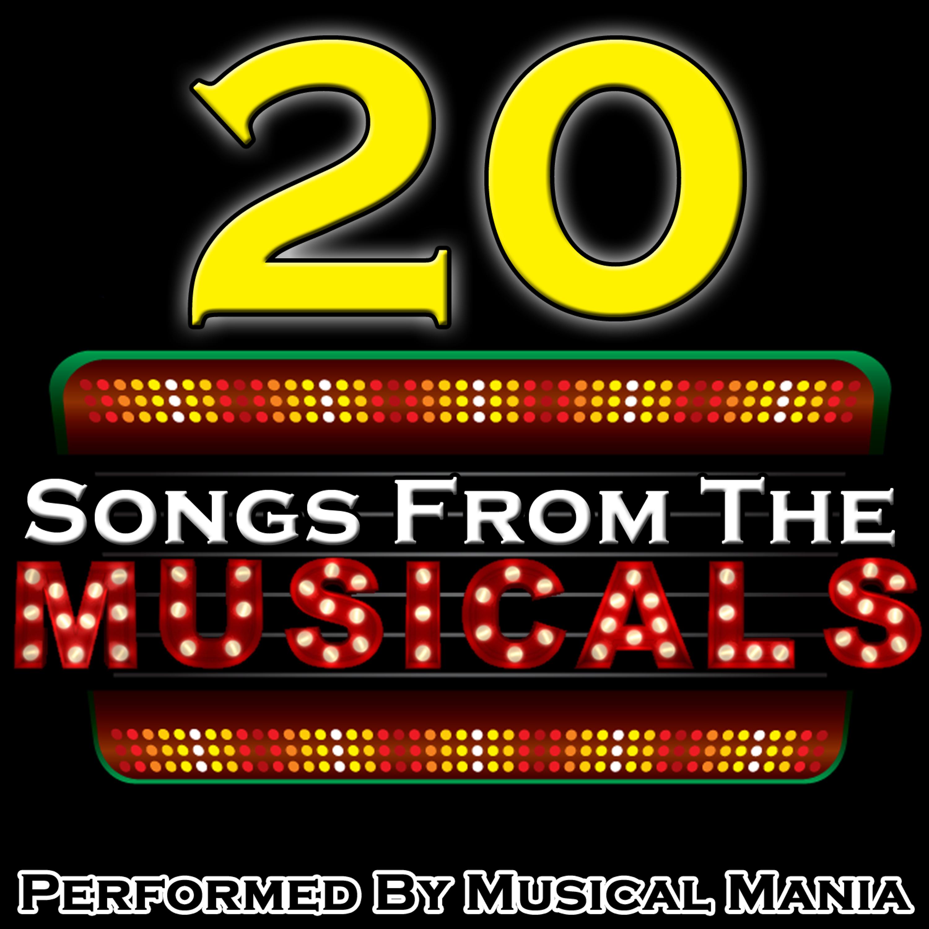 Постер альбома 20 Songs from the Musicals