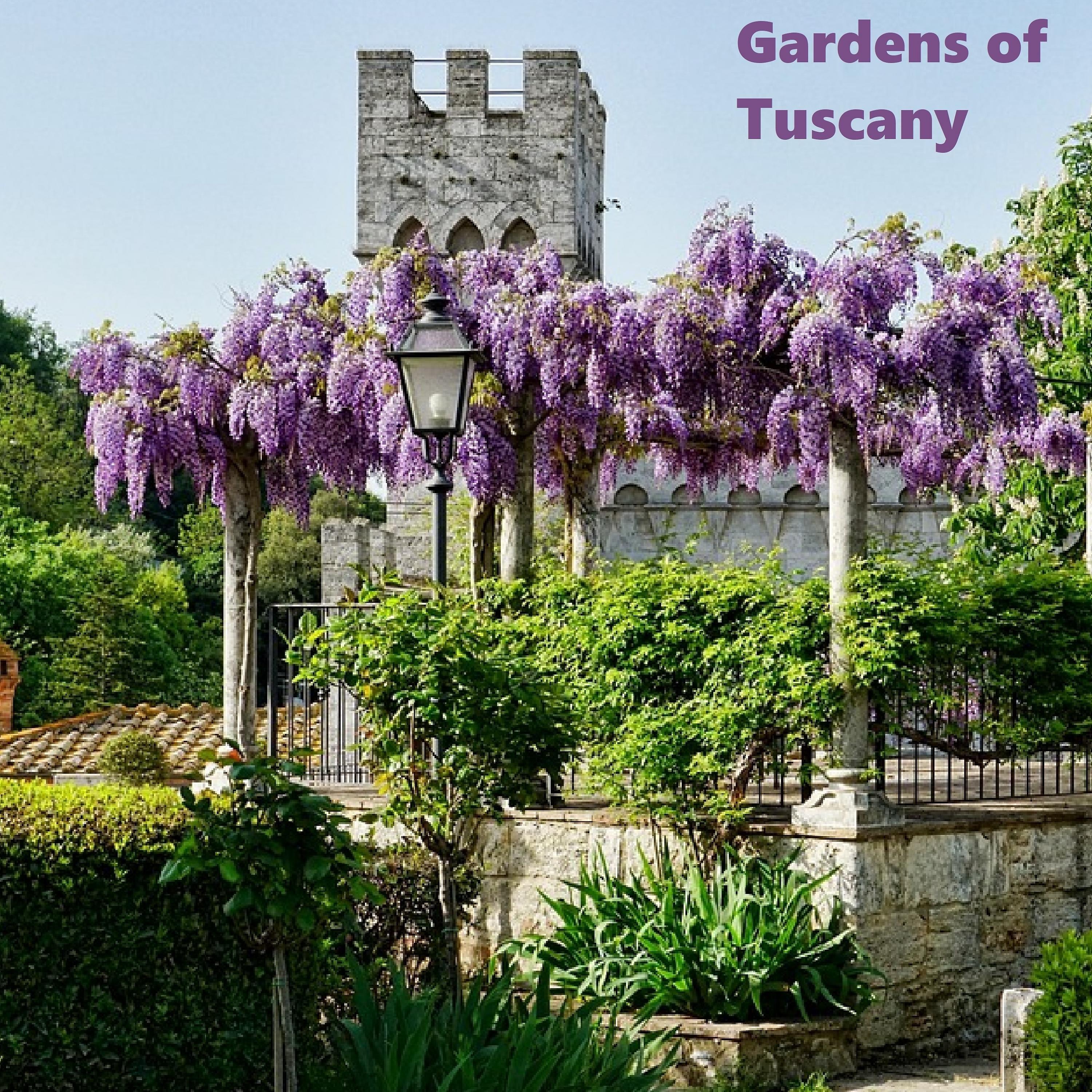 Постер альбома Gardens of Tuscany