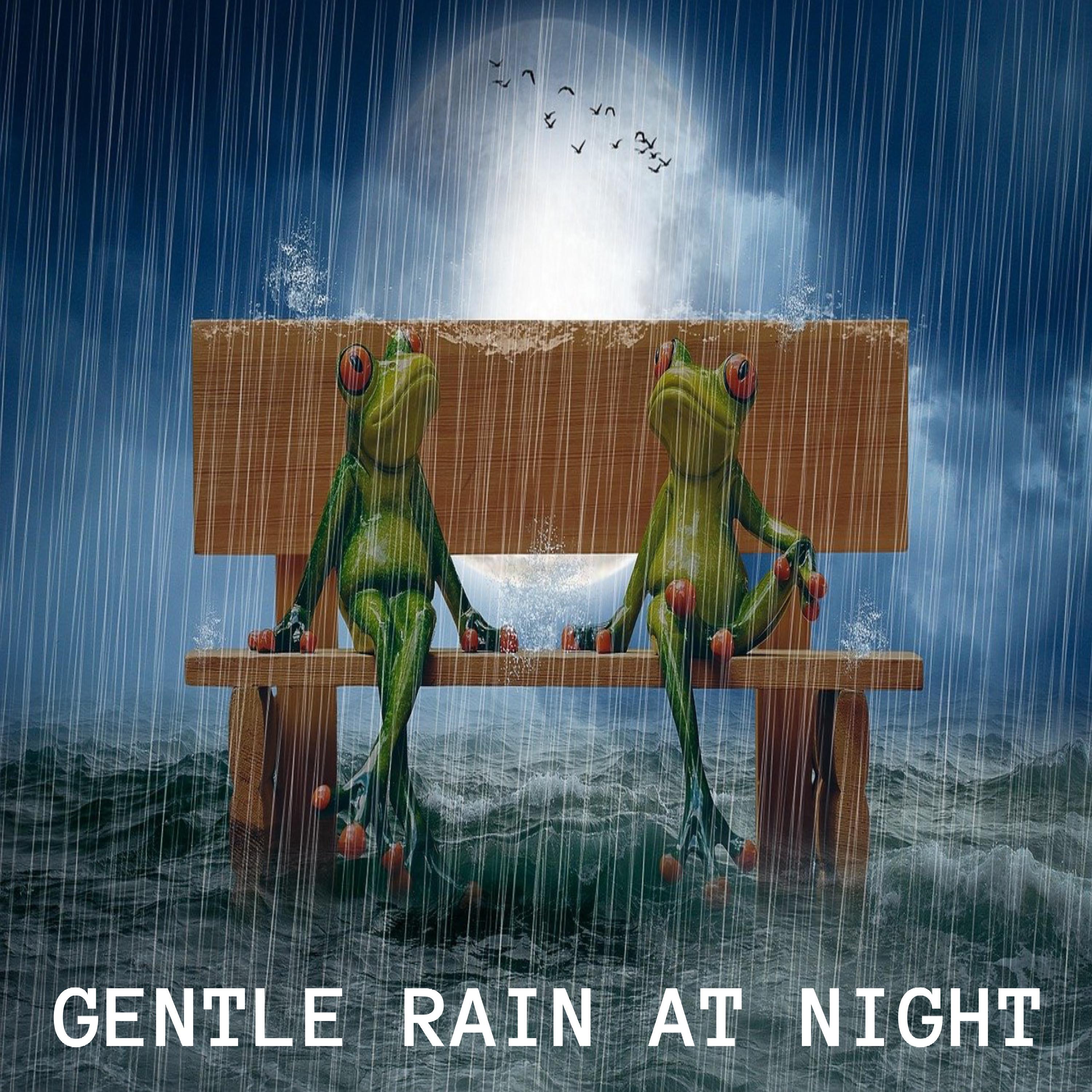 Постер альбома Gentle rain at night