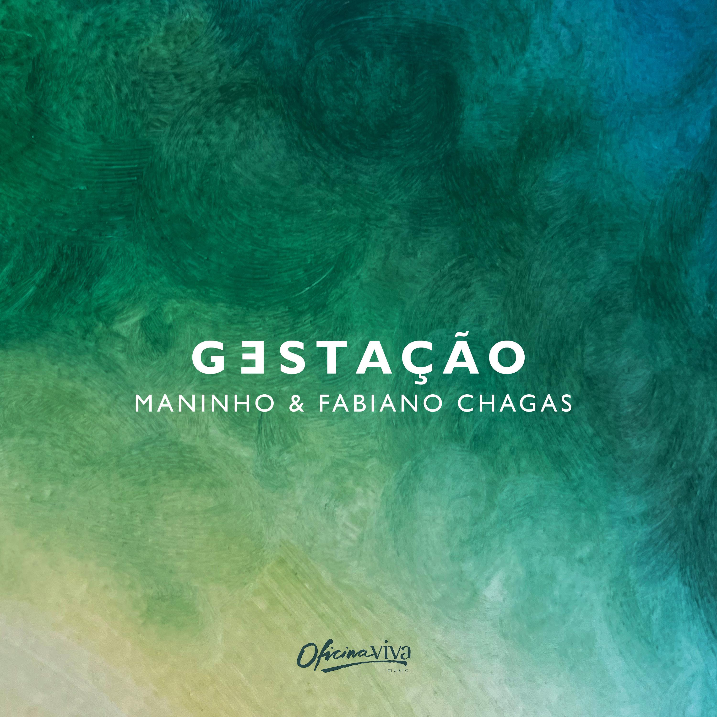 Постер альбома Gestação